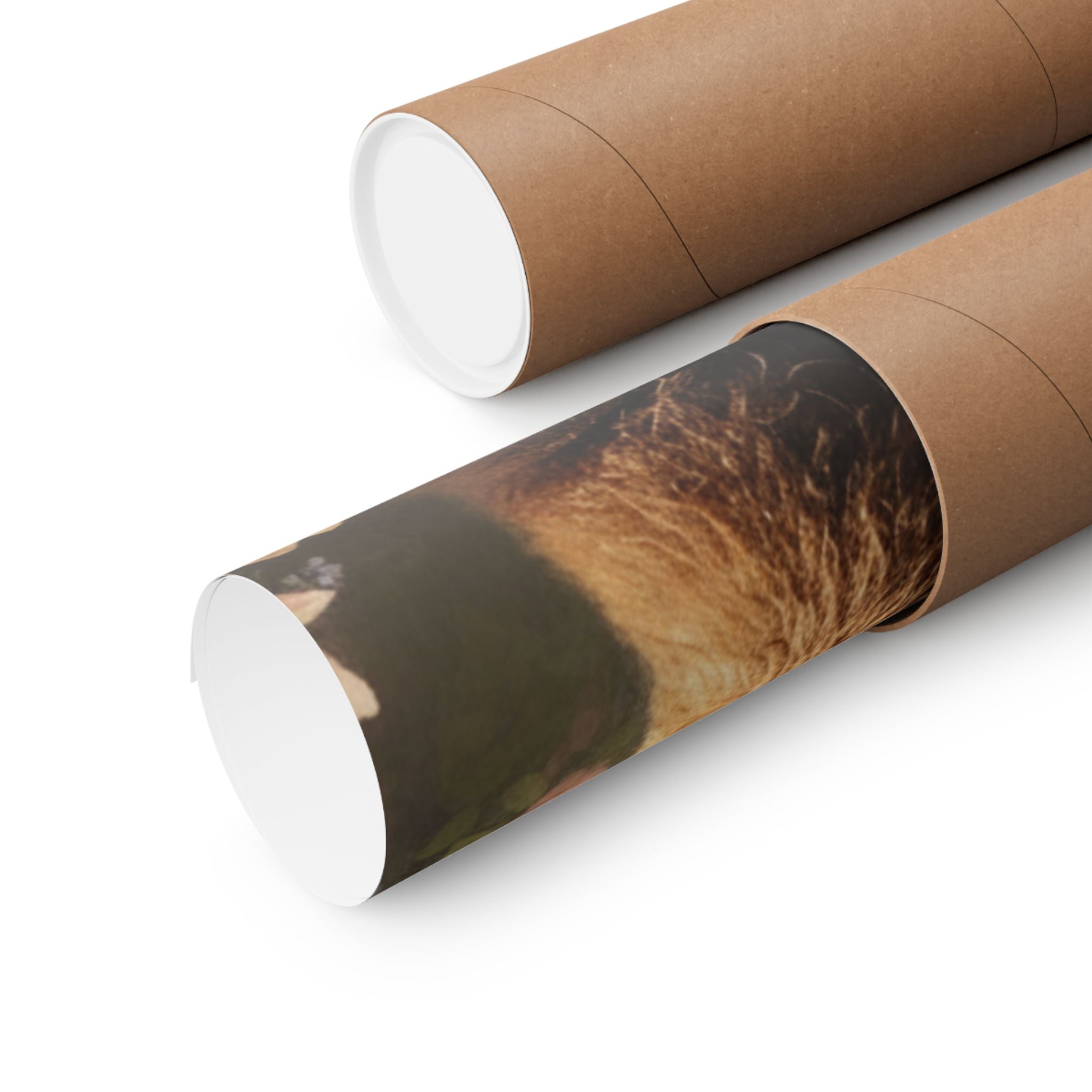 Scenic Nature — Bear — Matte Poster