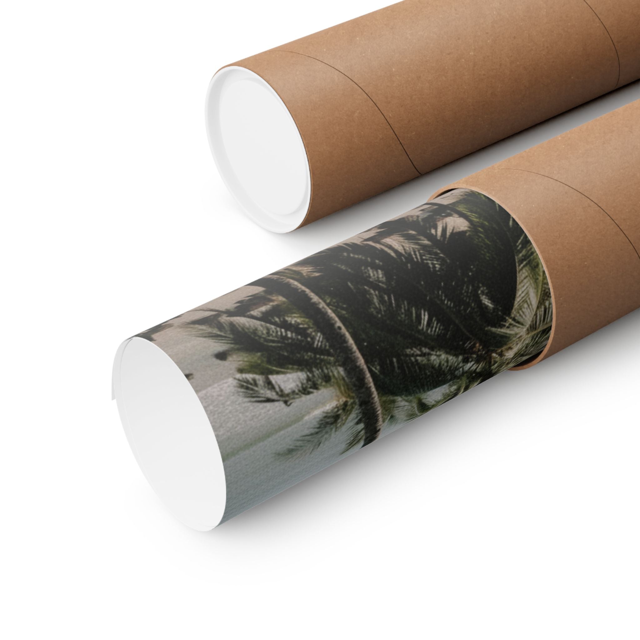 Cinematic — Palm — Matte Poster