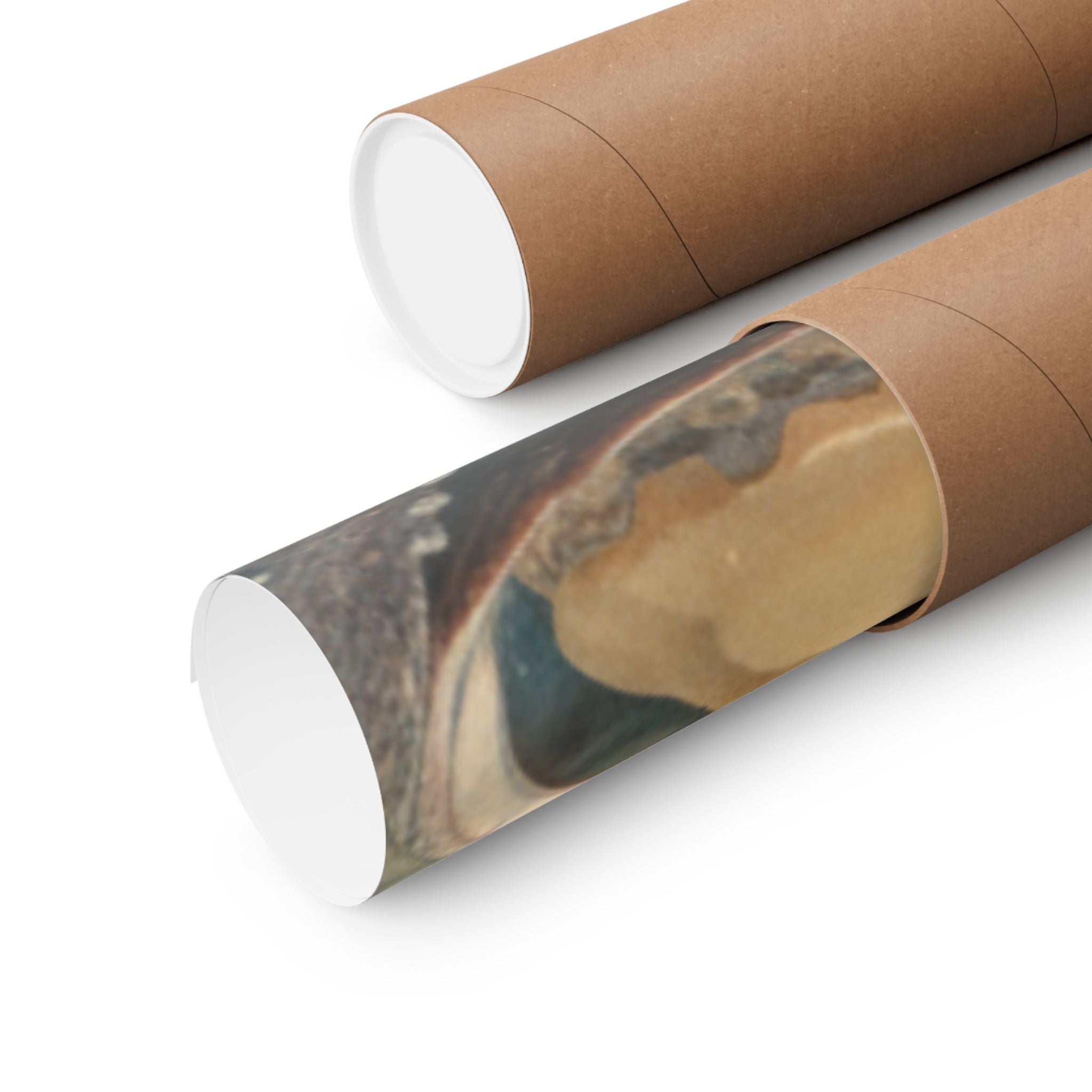 Scenic Nature — Shells Under Water — Matte Poster