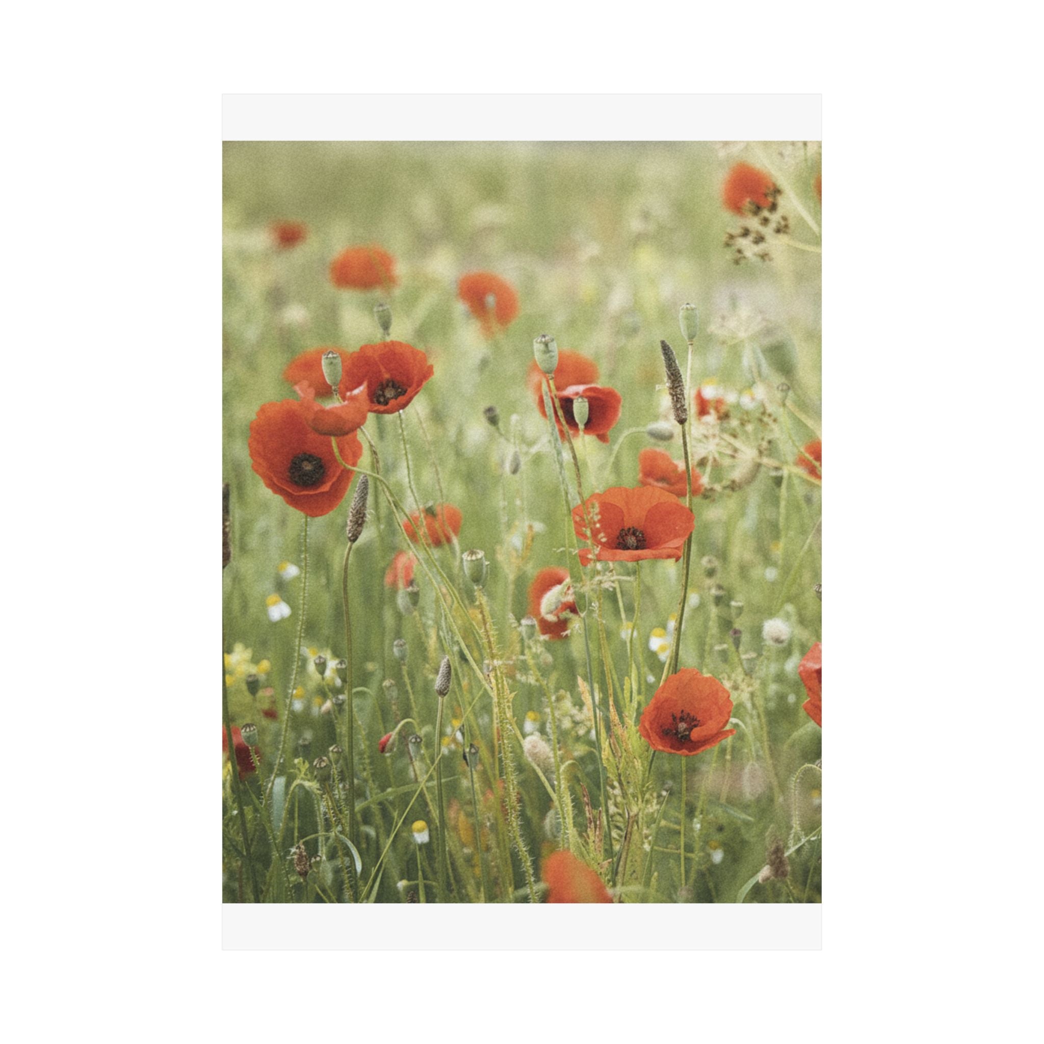 Watercolor — Flower — Matte Poster