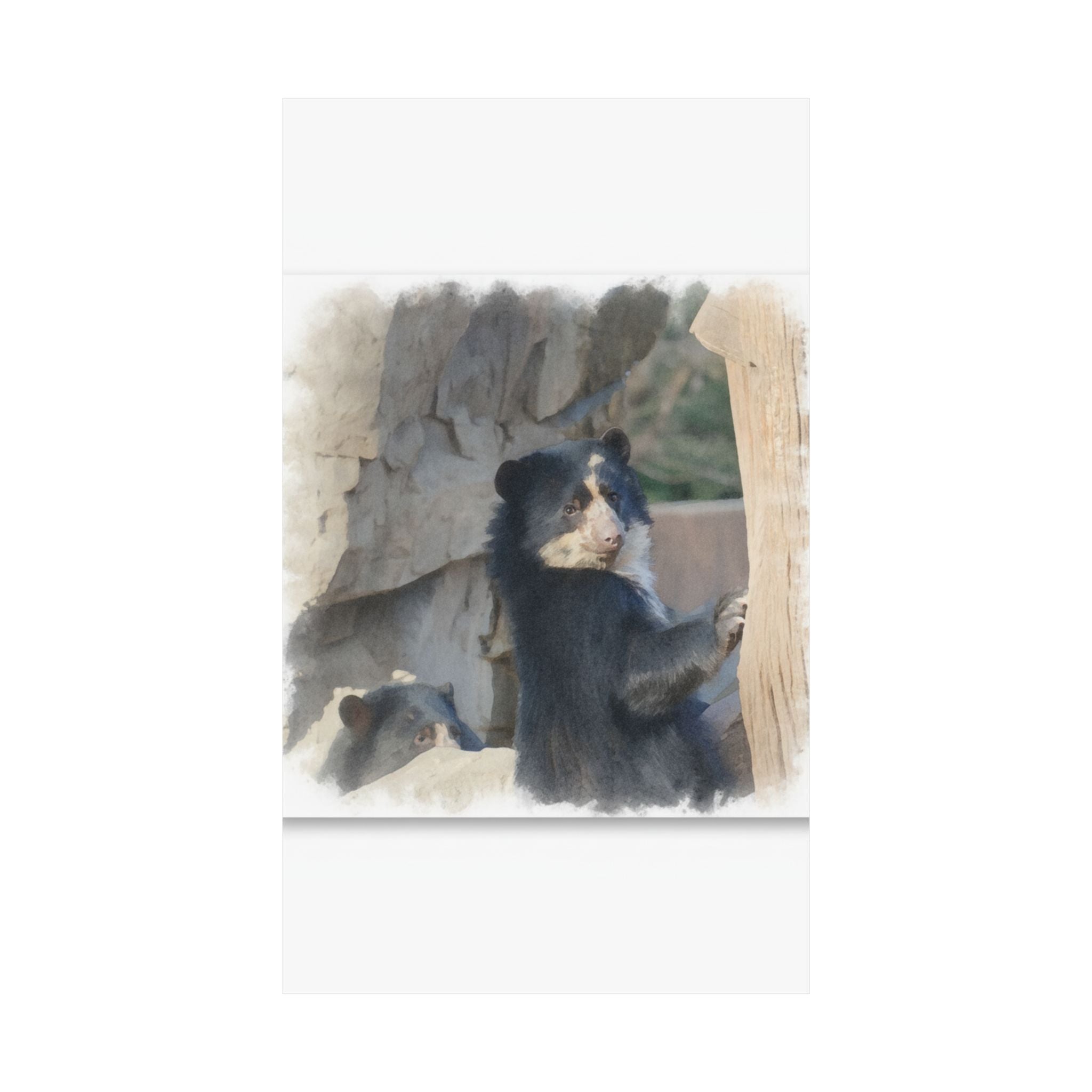 Watercolor — Bear — Matte Poster