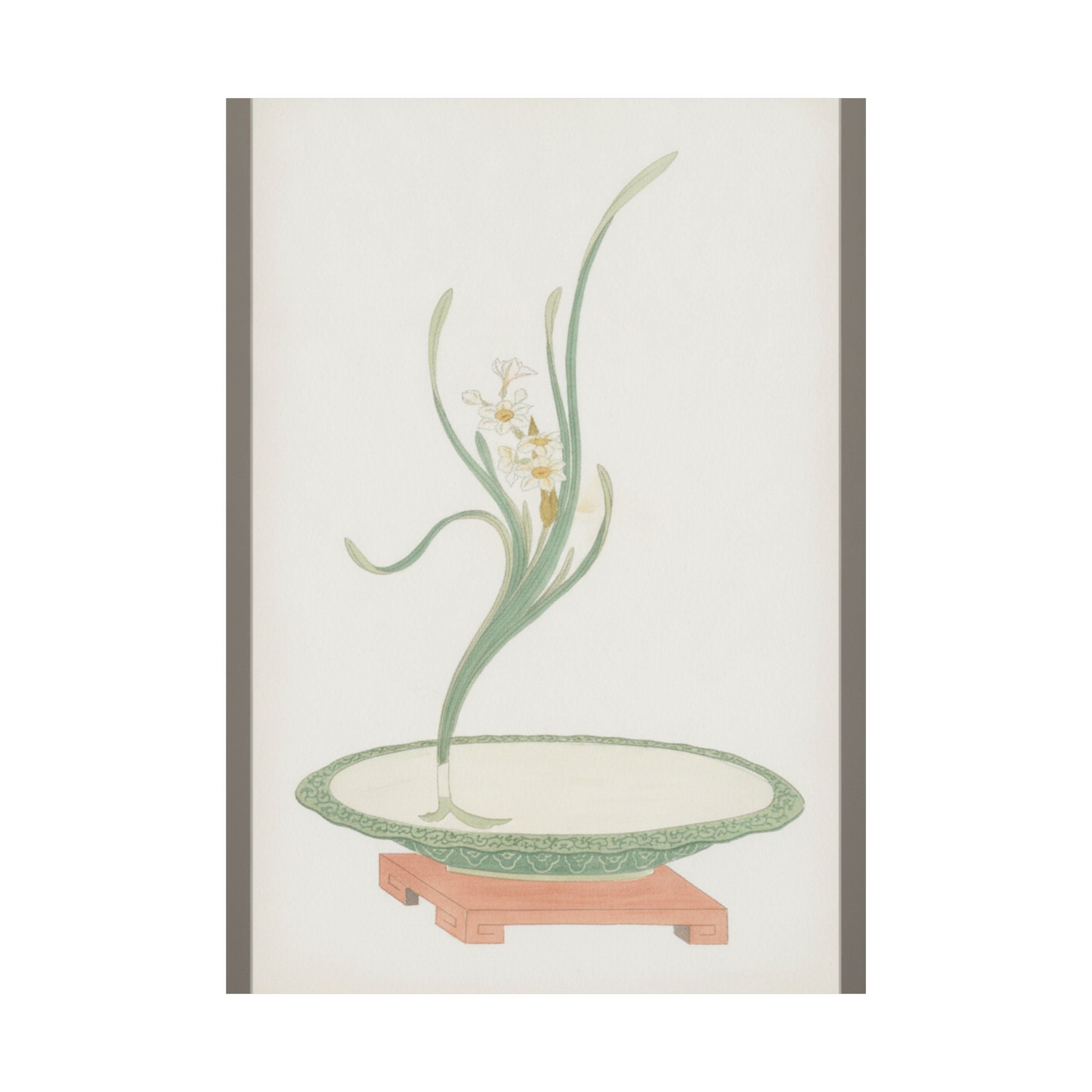 Watercolor — Flower Arrangement Of Suisen (Narcissus) In A Flat Green Dish — Matte Poster