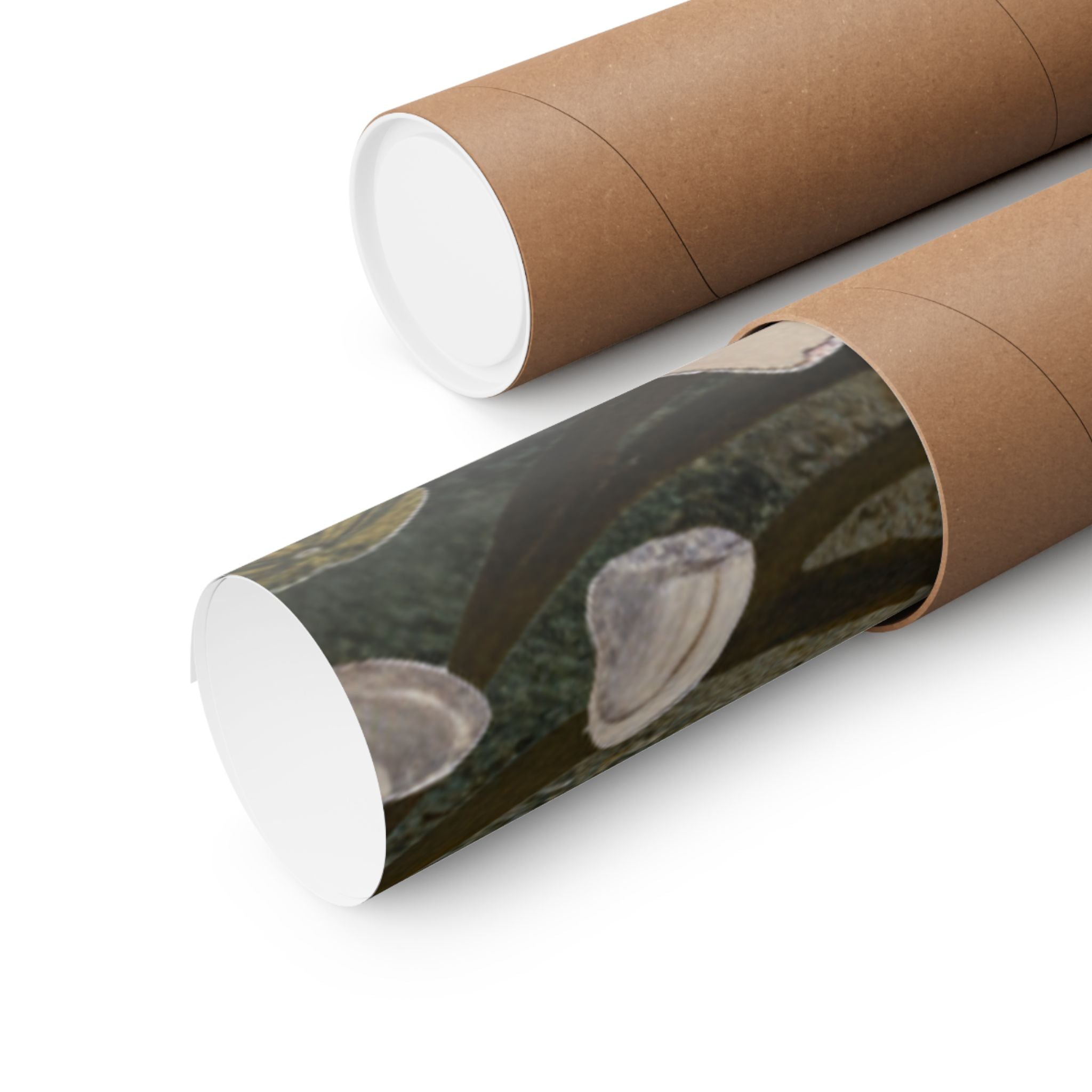 Scenic Nature — Shells Under Water — Matte Poster
