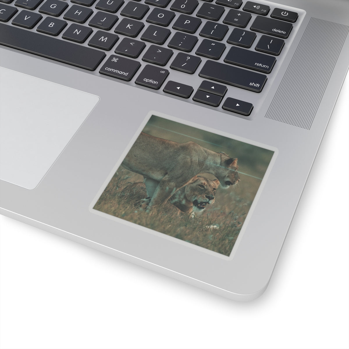 Cinematic — Lions — Kiss-Cut Sticker