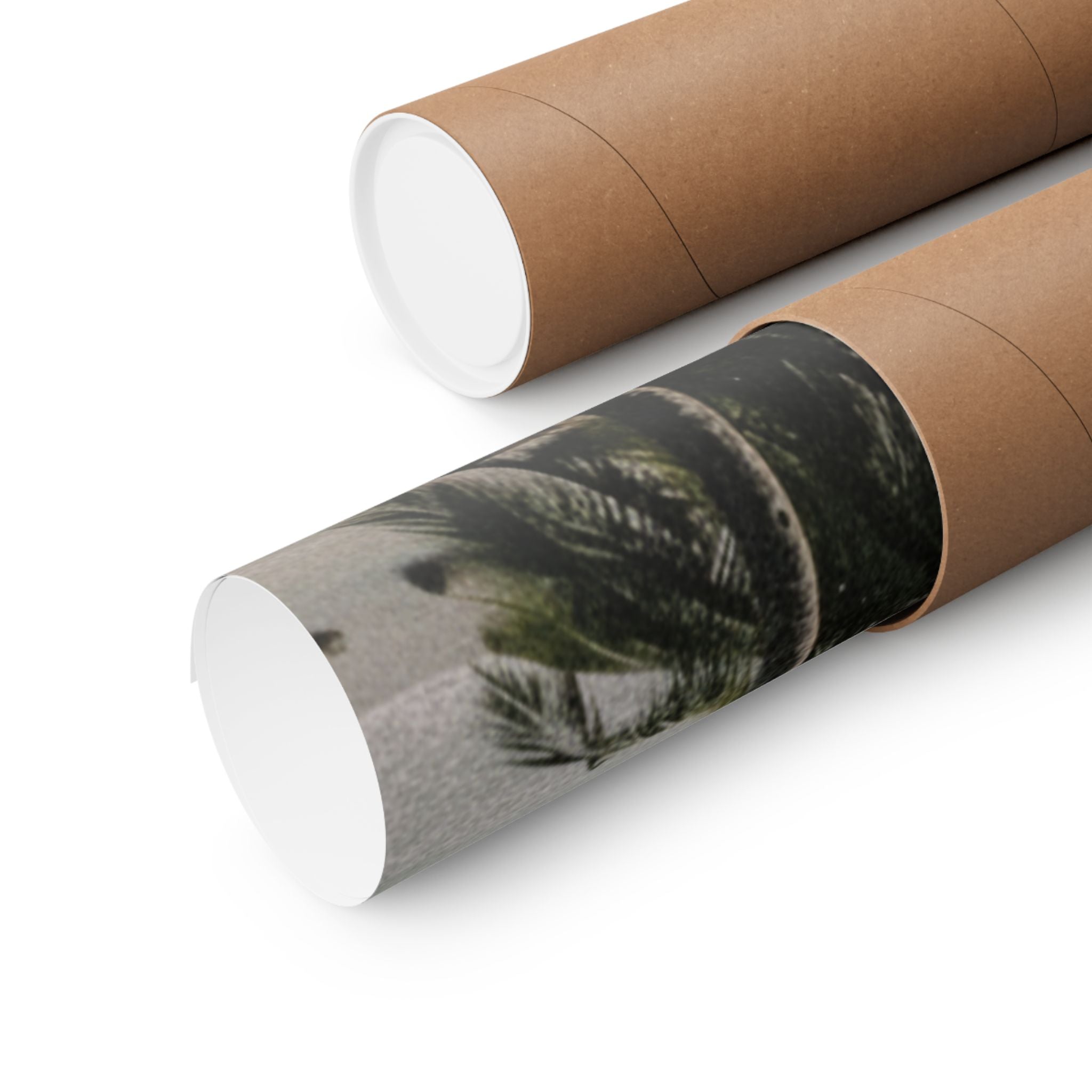 Cinematic — Palm — Matte Poster