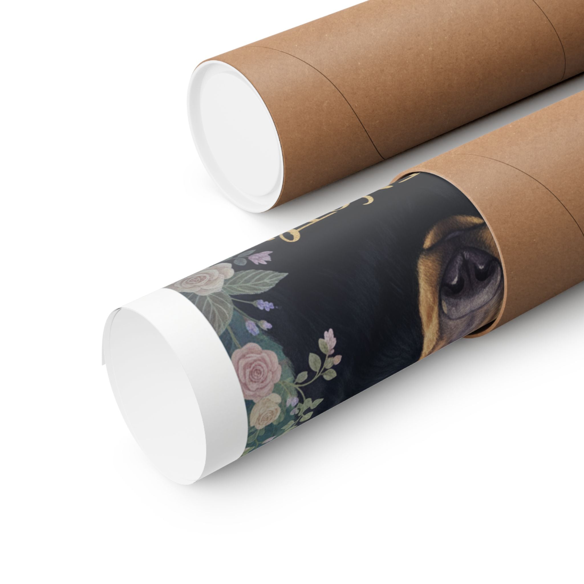 Affirmation — Bear — Matte Poster