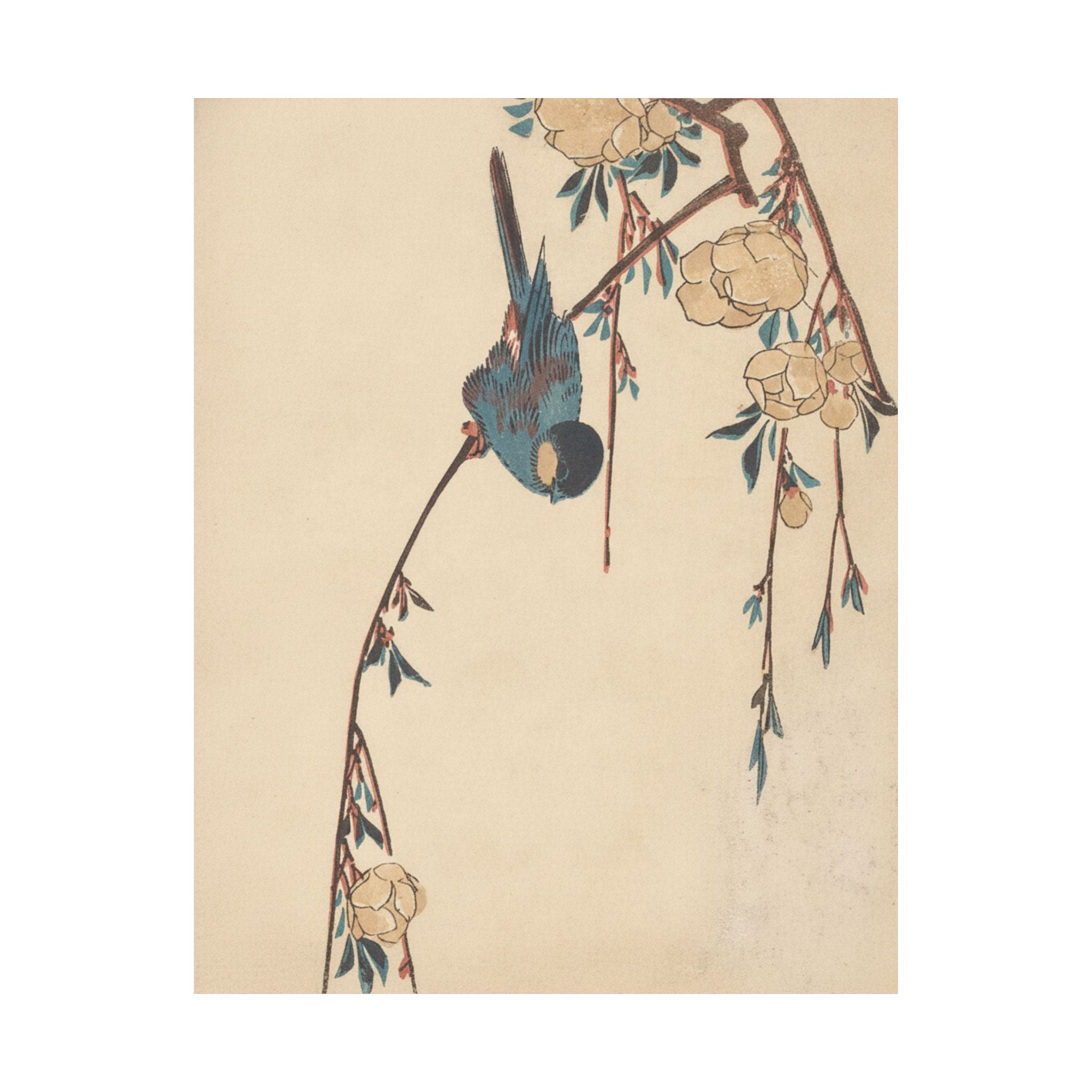 Botanical — Weeping Cherry — Matte Poster