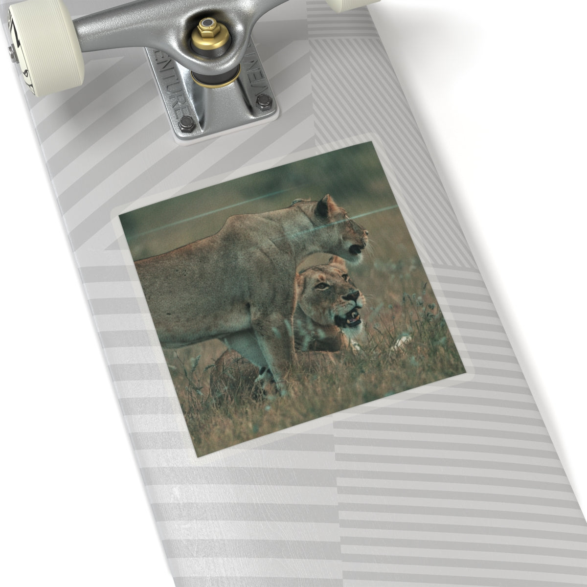 Cinematic — Lions — Kiss-Cut Sticker