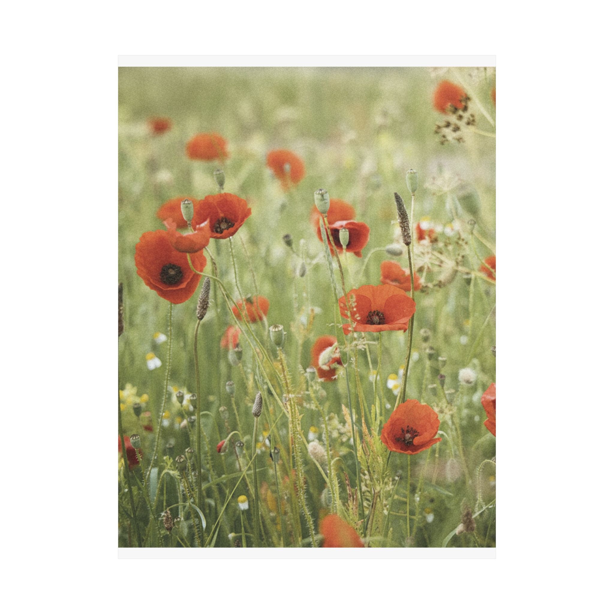 Watercolor — Flower — Matte Poster