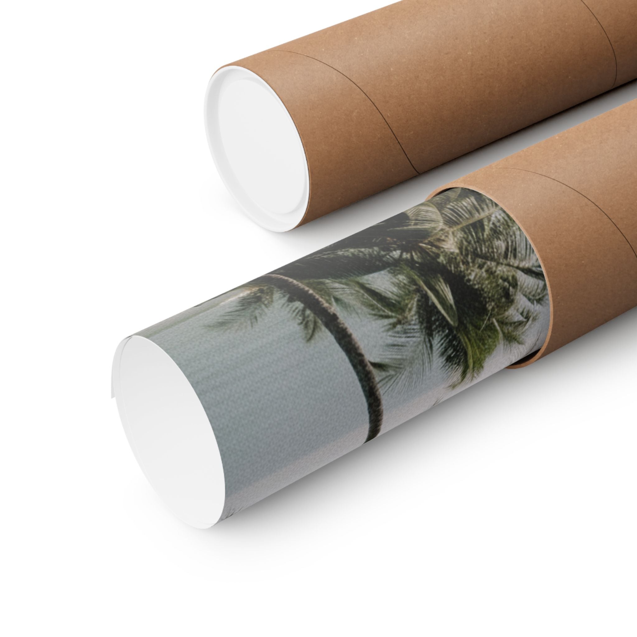 Cinematic — Palm — Matte Poster