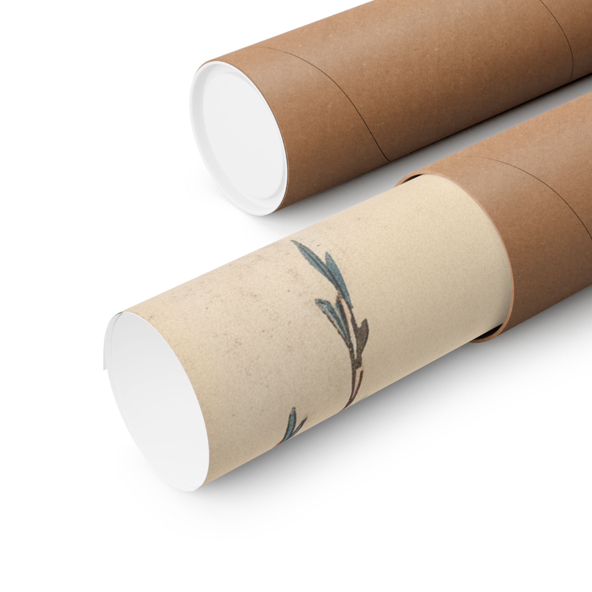 Botanical — Weeping Cherry — Matte Poster
