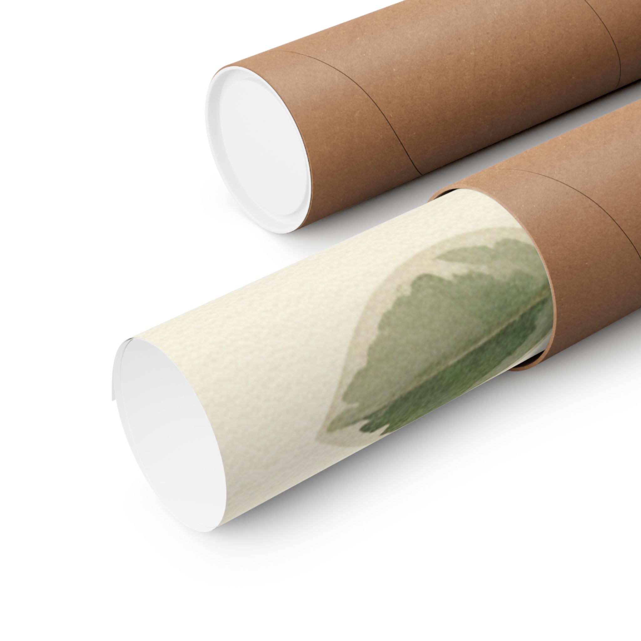Botanical — Plant — Matte Poster