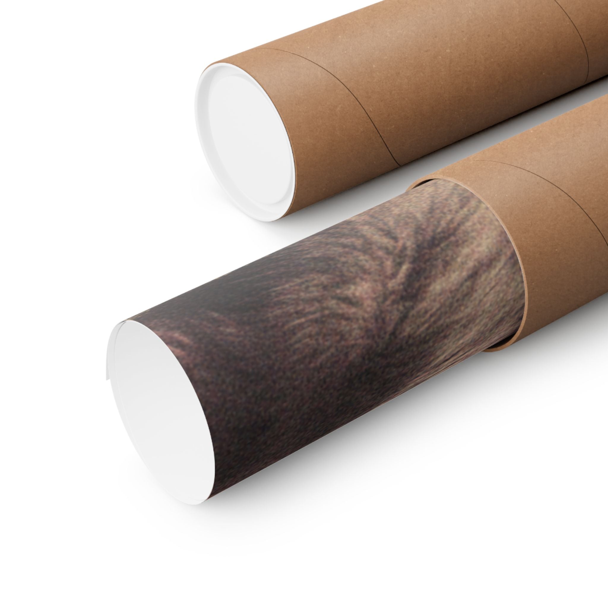Japanese Street — Dog — Matte Poster