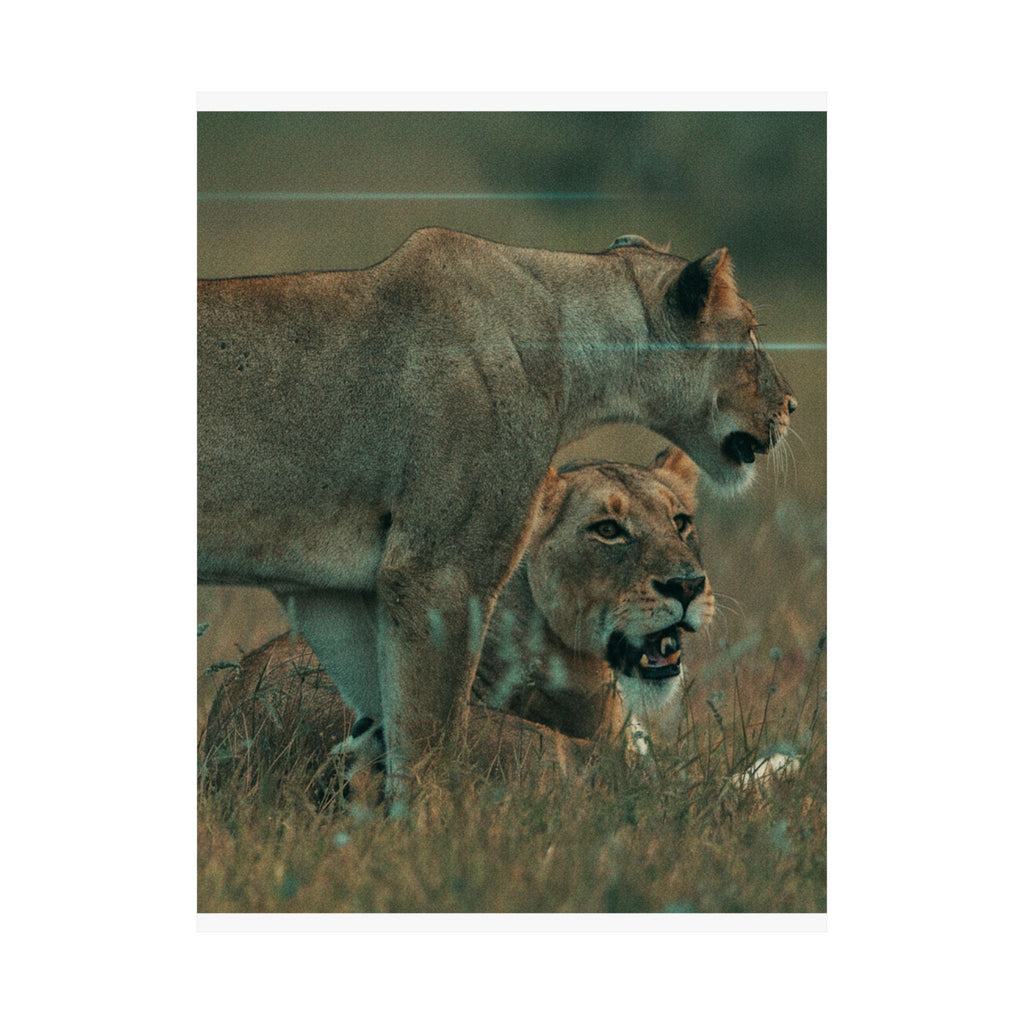 Cinematic — Lions — Matte Poster