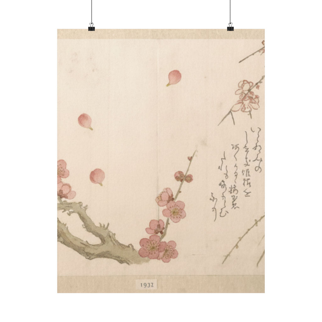 Botanical — Plum Blossom — Matte Poster