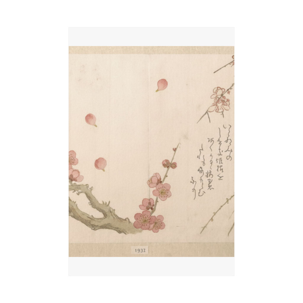 Botanical — Plum Blossom — Matte Poster