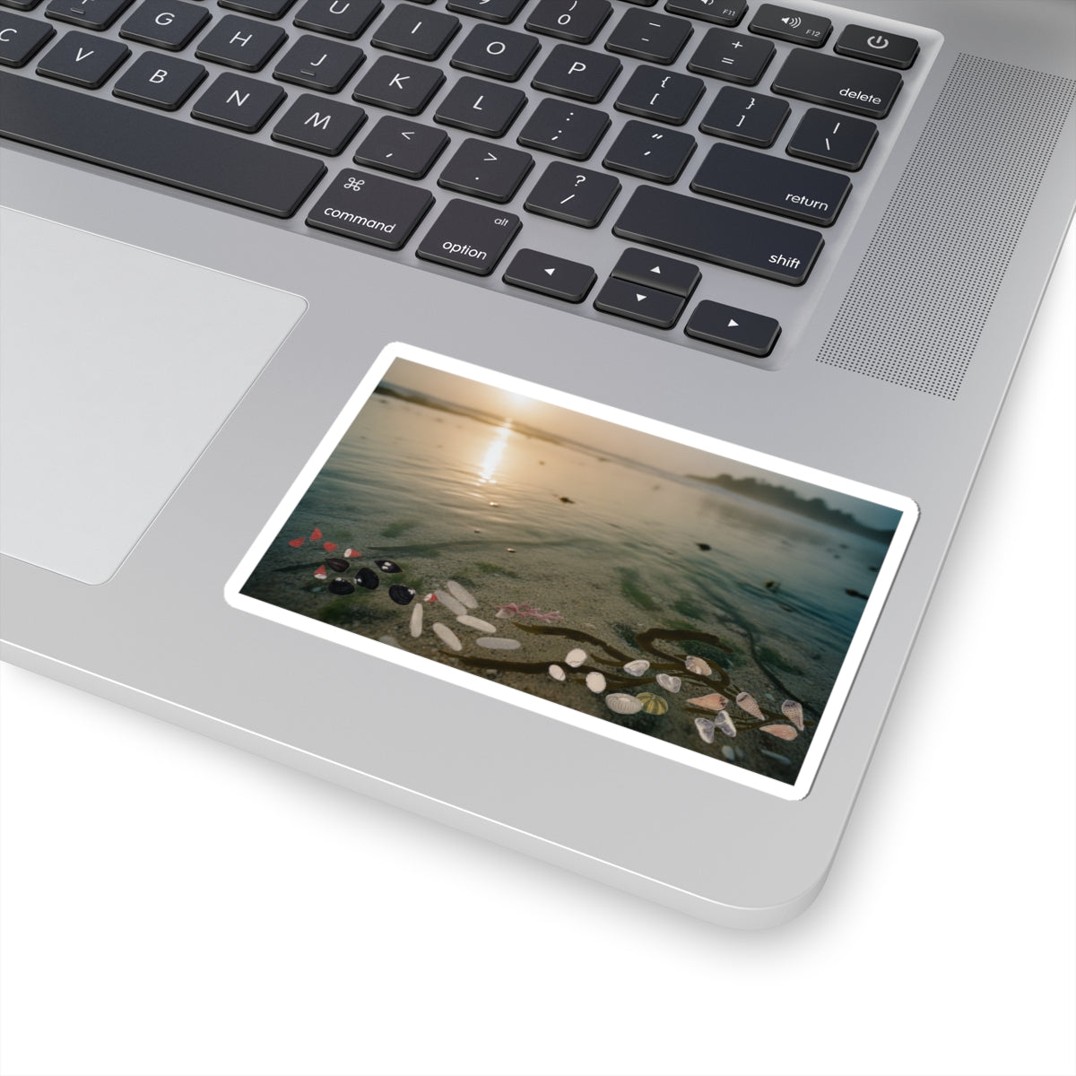 Scenic Nature — Shells Under Water — Kiss-Cut Sticker
