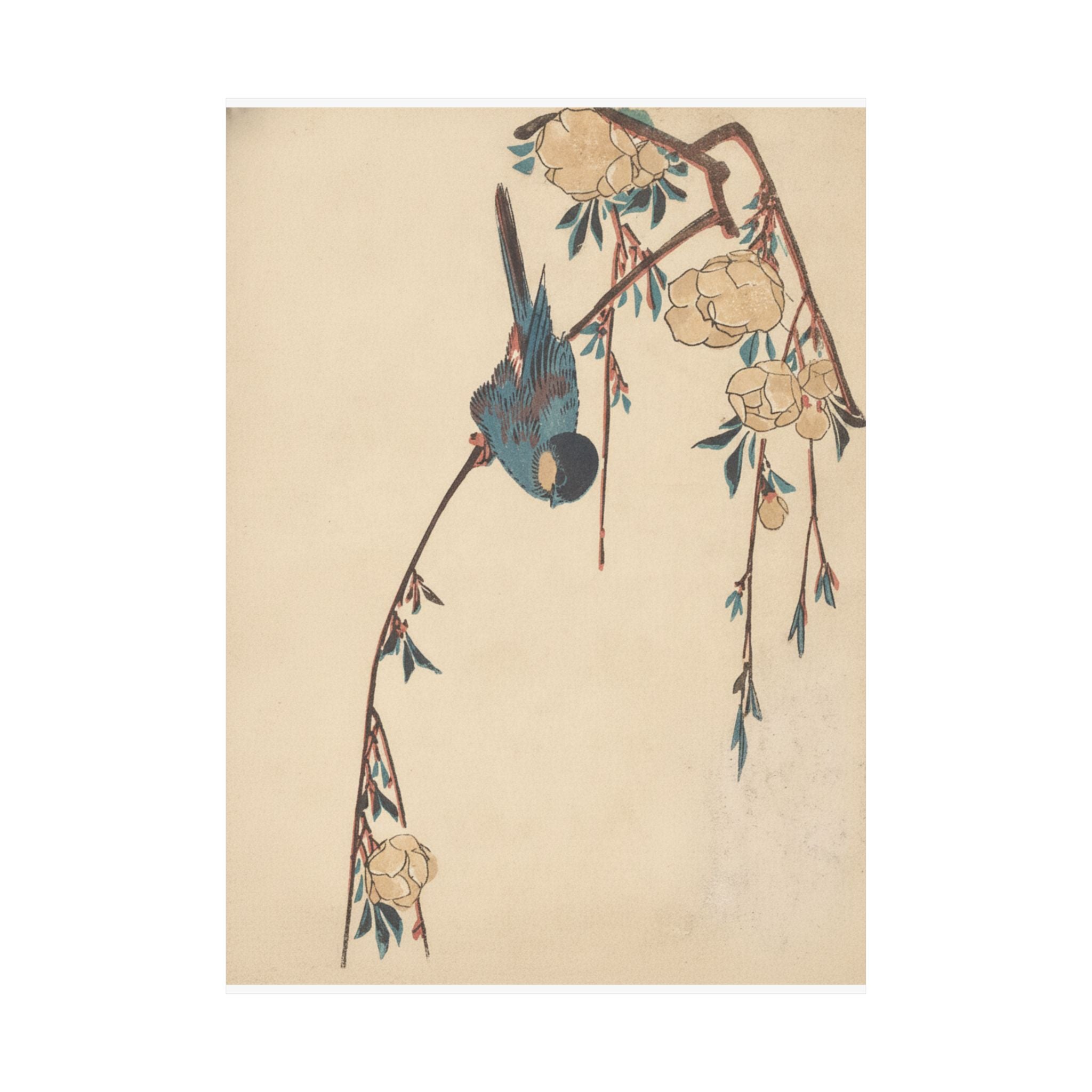 Botanical — Weeping Cherry — Matte Poster