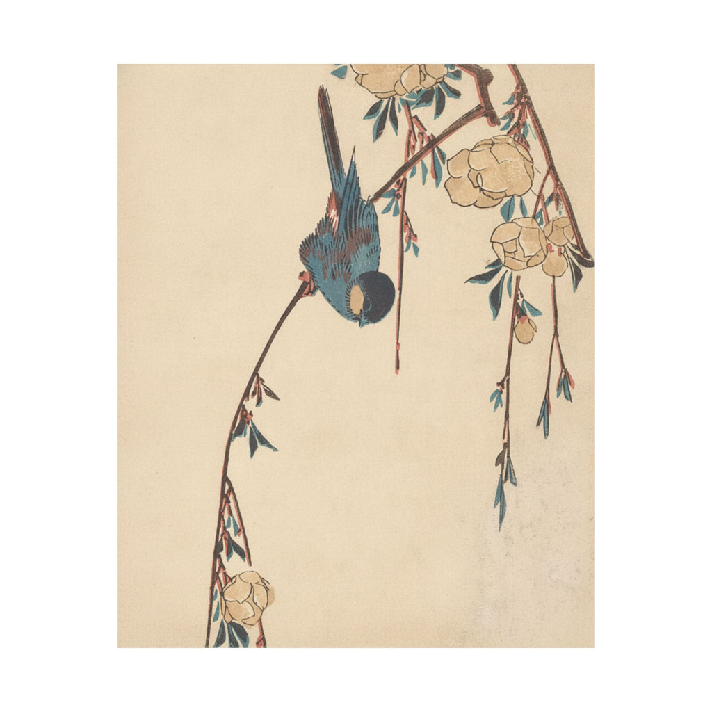 Botanical — Weeping Cherry — Matte Poster