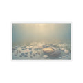 Scenic Nature — Shells Under Water — Kiss-Cut Sticker