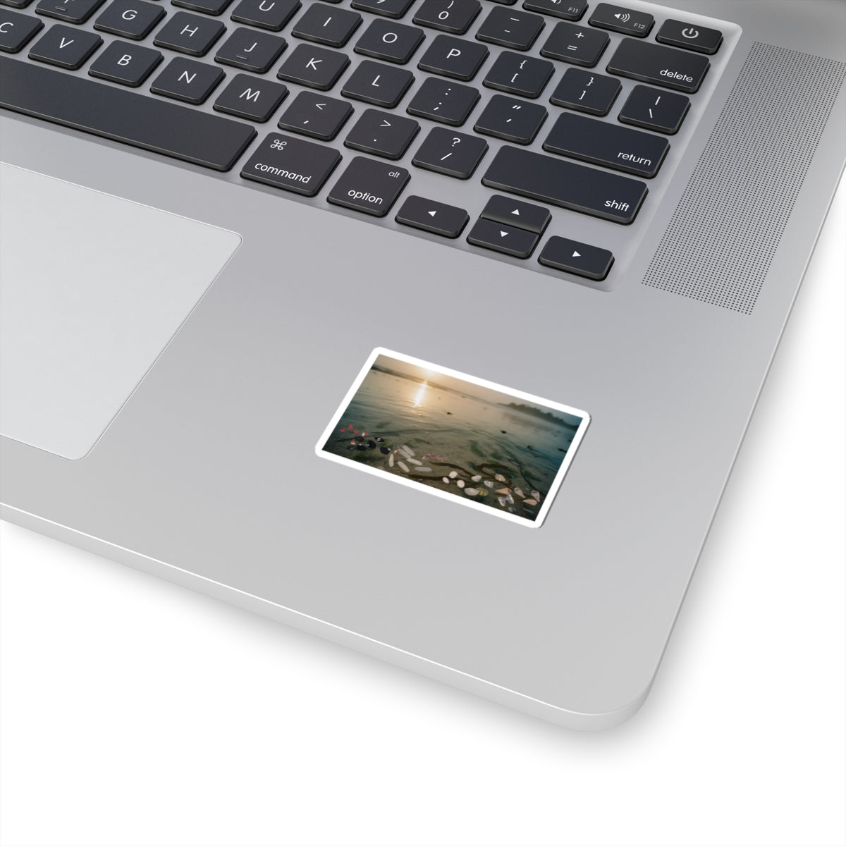 Scenic Nature — Shells Under Water — Kiss-Cut Sticker