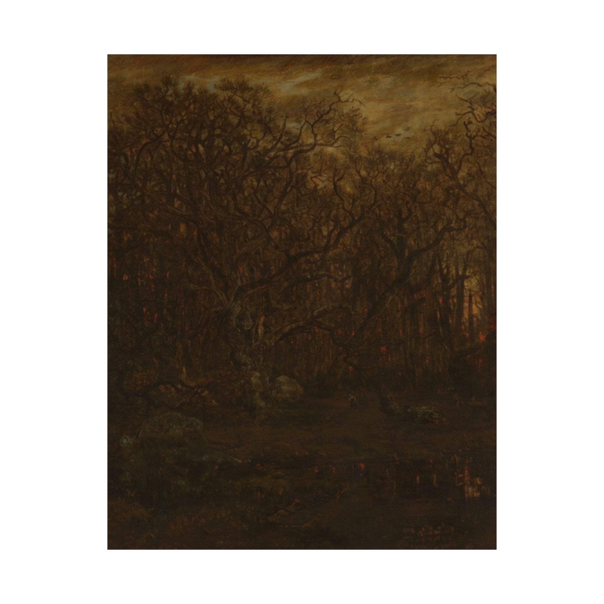 Scenic Nature — Forest — Matte Poster