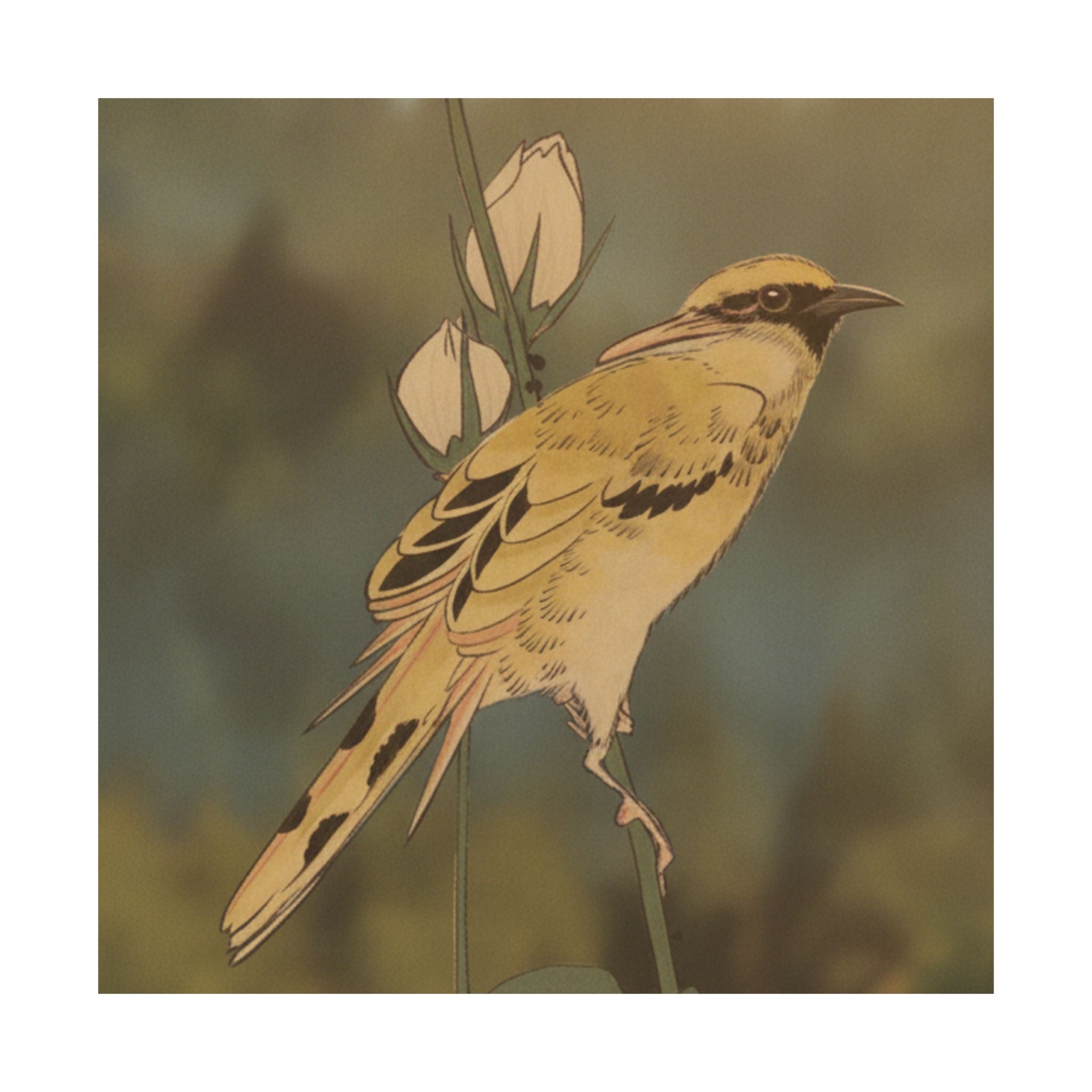 Scenic Nature — Black-Naped Oriole Perched On A Stem Of Rose Mallow — Matte Poster