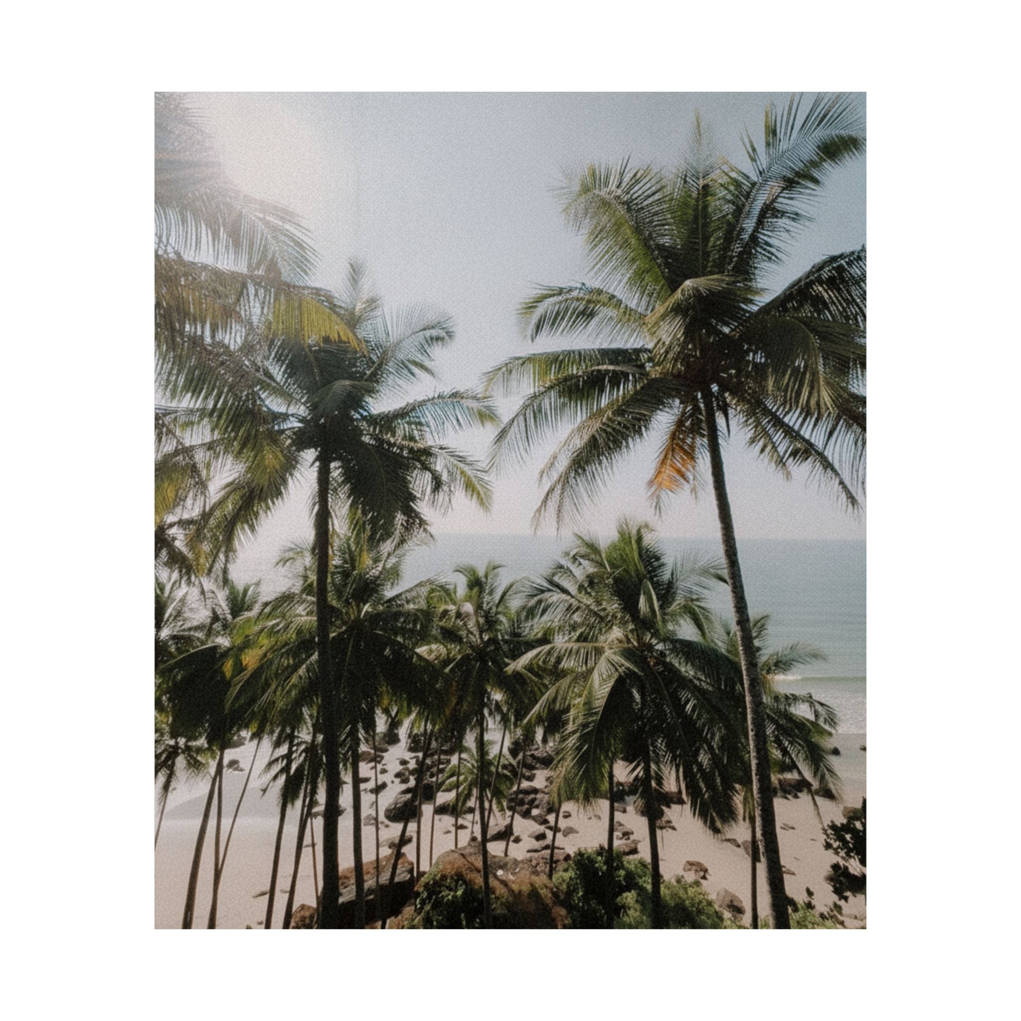 Cinematic — Palm — Matte Poster