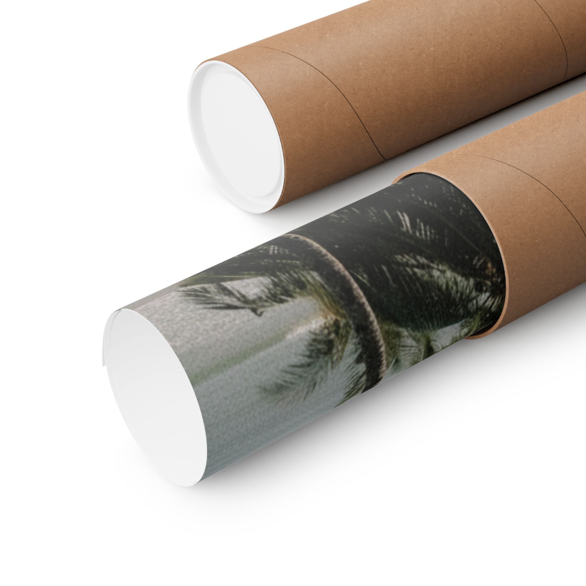 Cinematic — Palm — Matte Poster