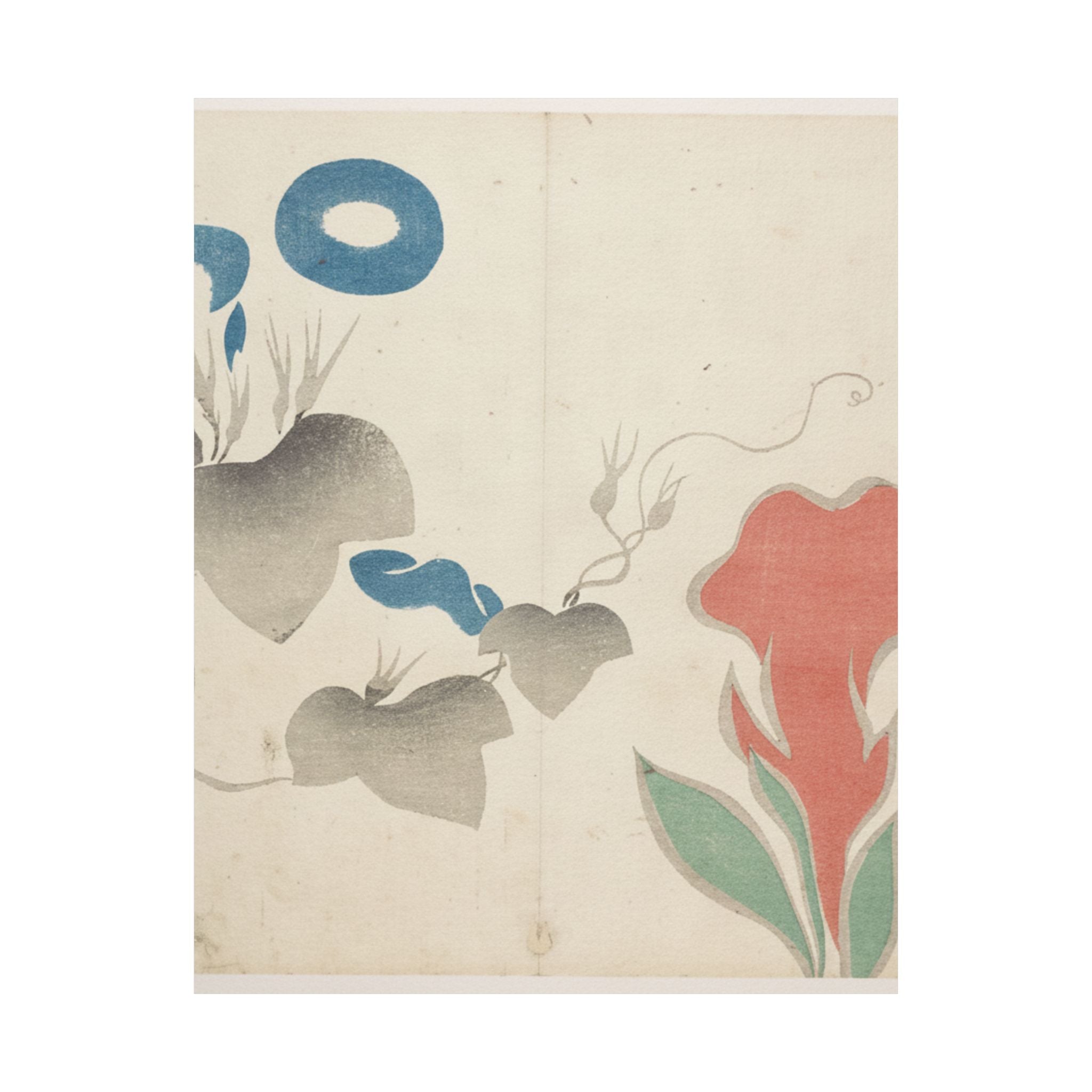 Watercolor — Design Of Morning–Glory And Other Flowers — Matte Poster