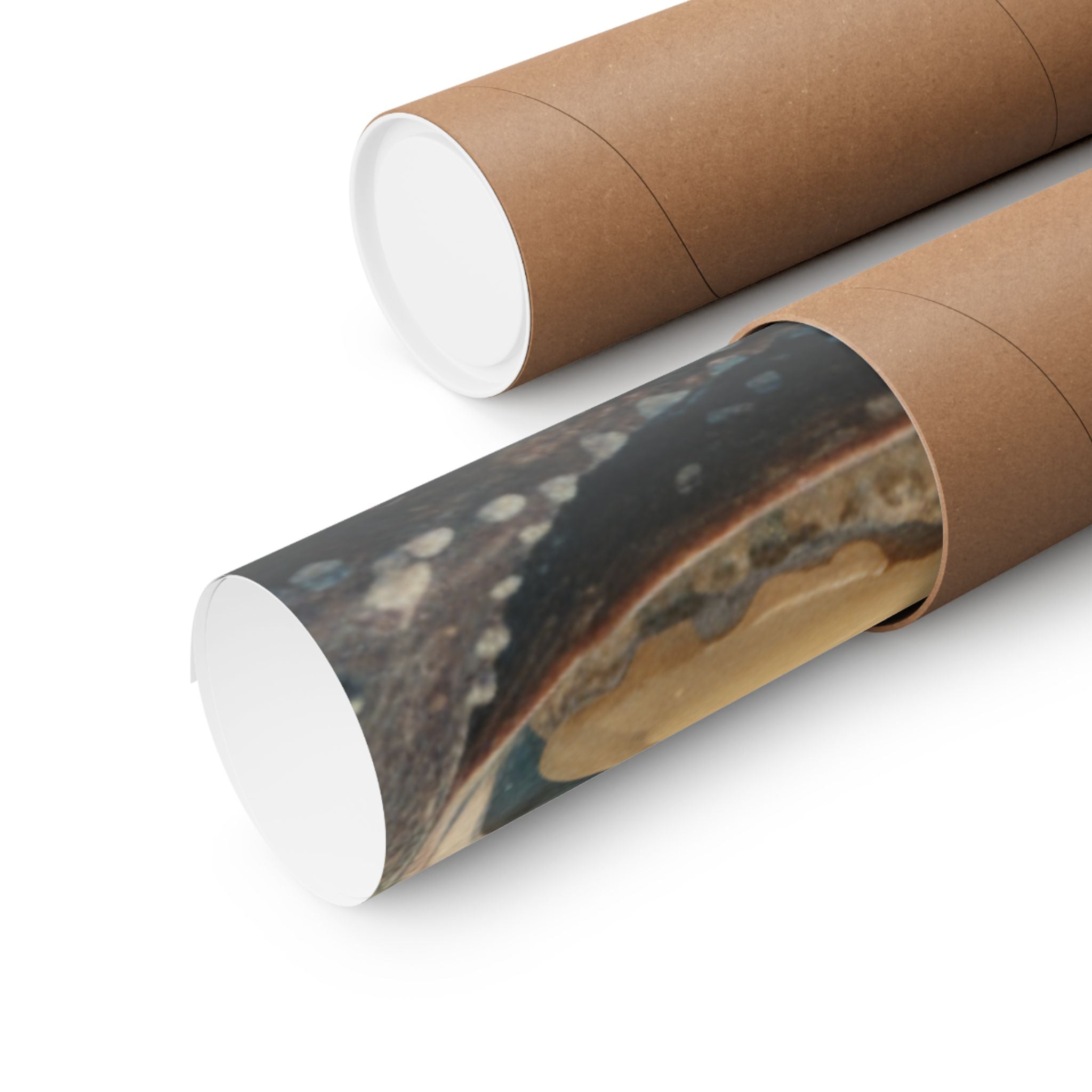 Scenic Nature — Shells Under Water — Matte Poster