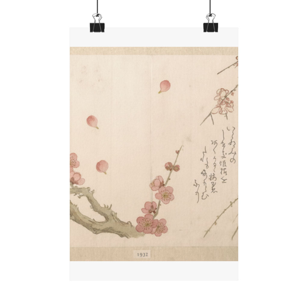 Botanical — Plum Blossom — Matte Poster