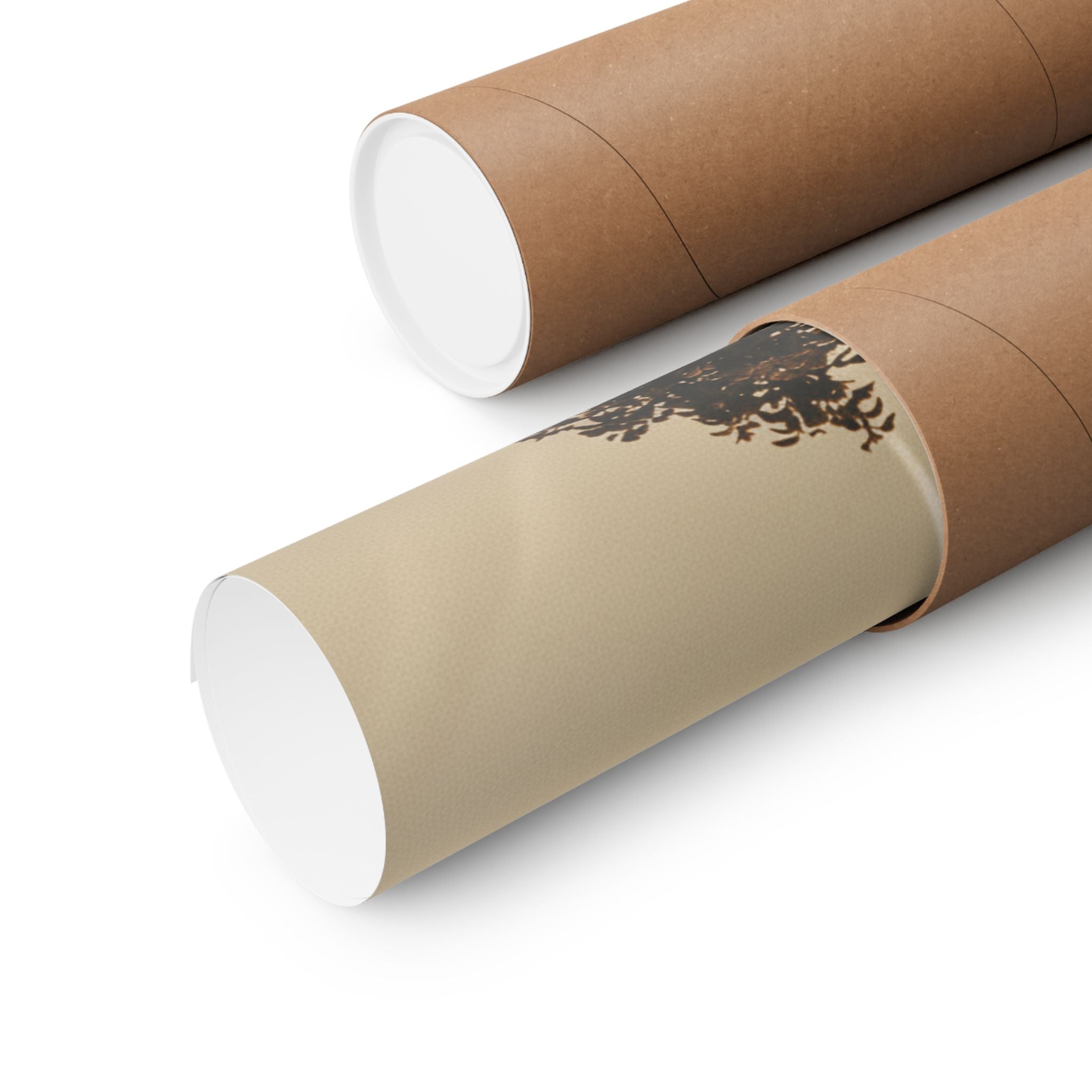Scenic Nature — Contrail — Matte Poster