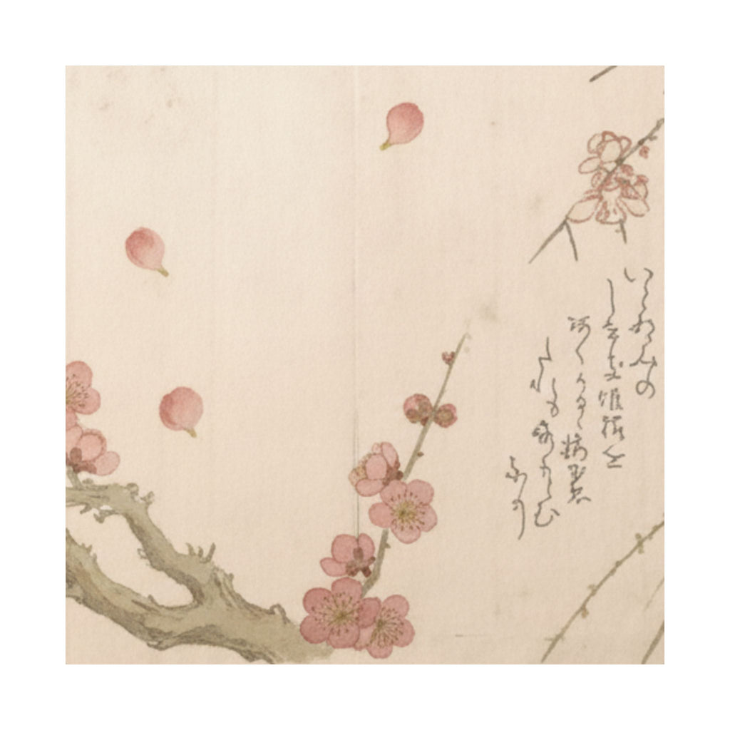 Botanical — Plum Blossom — Matte Poster