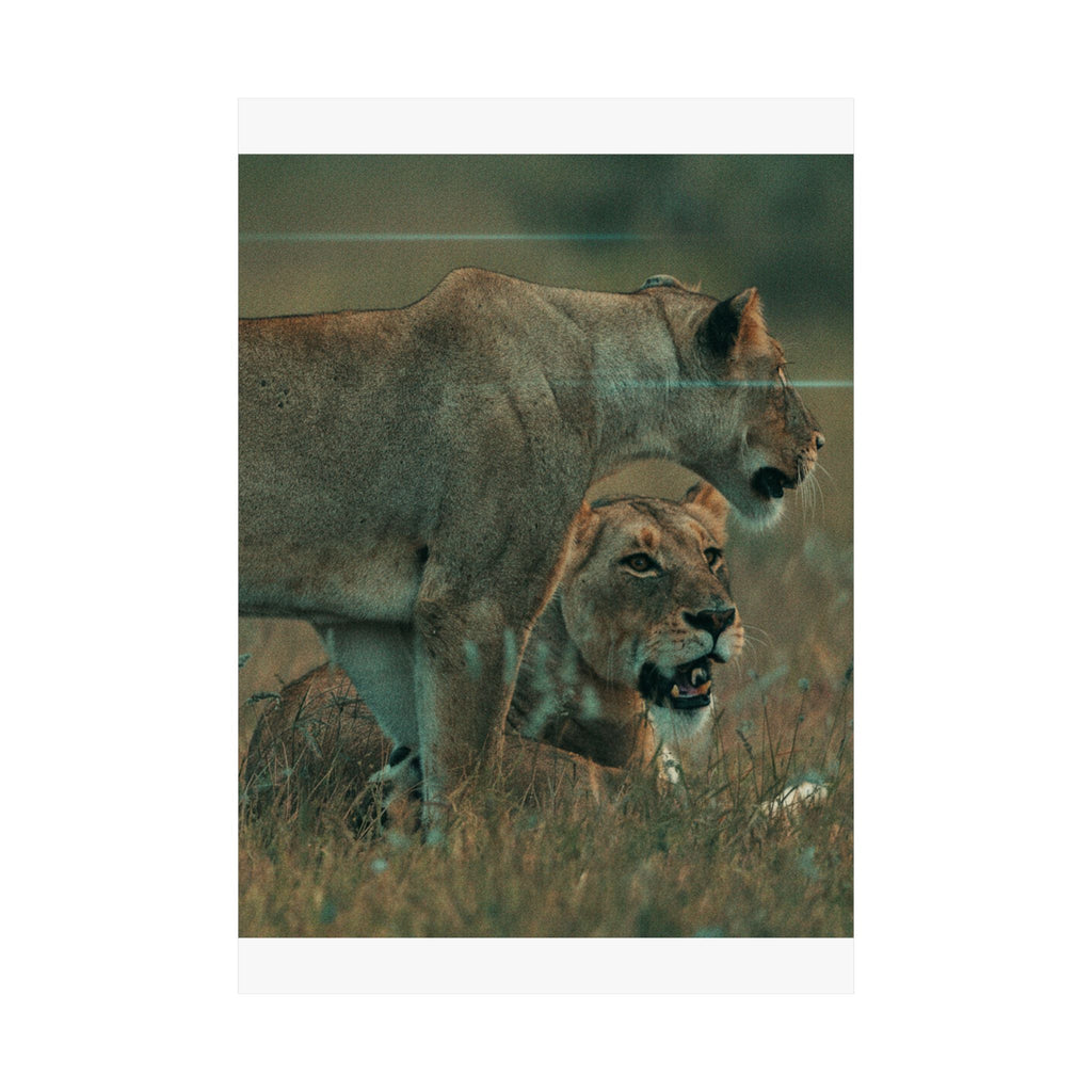 Cinematic — Lions — Matte Poster