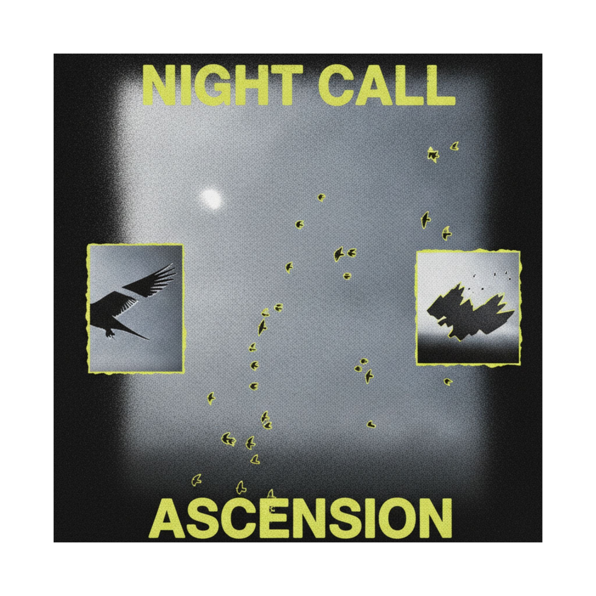 Streetwear Collage — Birds — Matte Poster