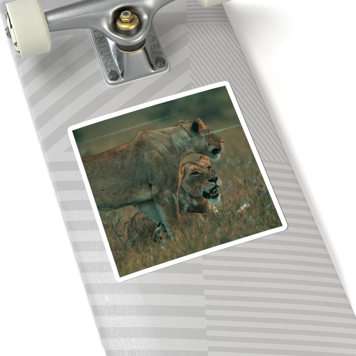 Cinematic — Lions — Kiss-Cut Sticker