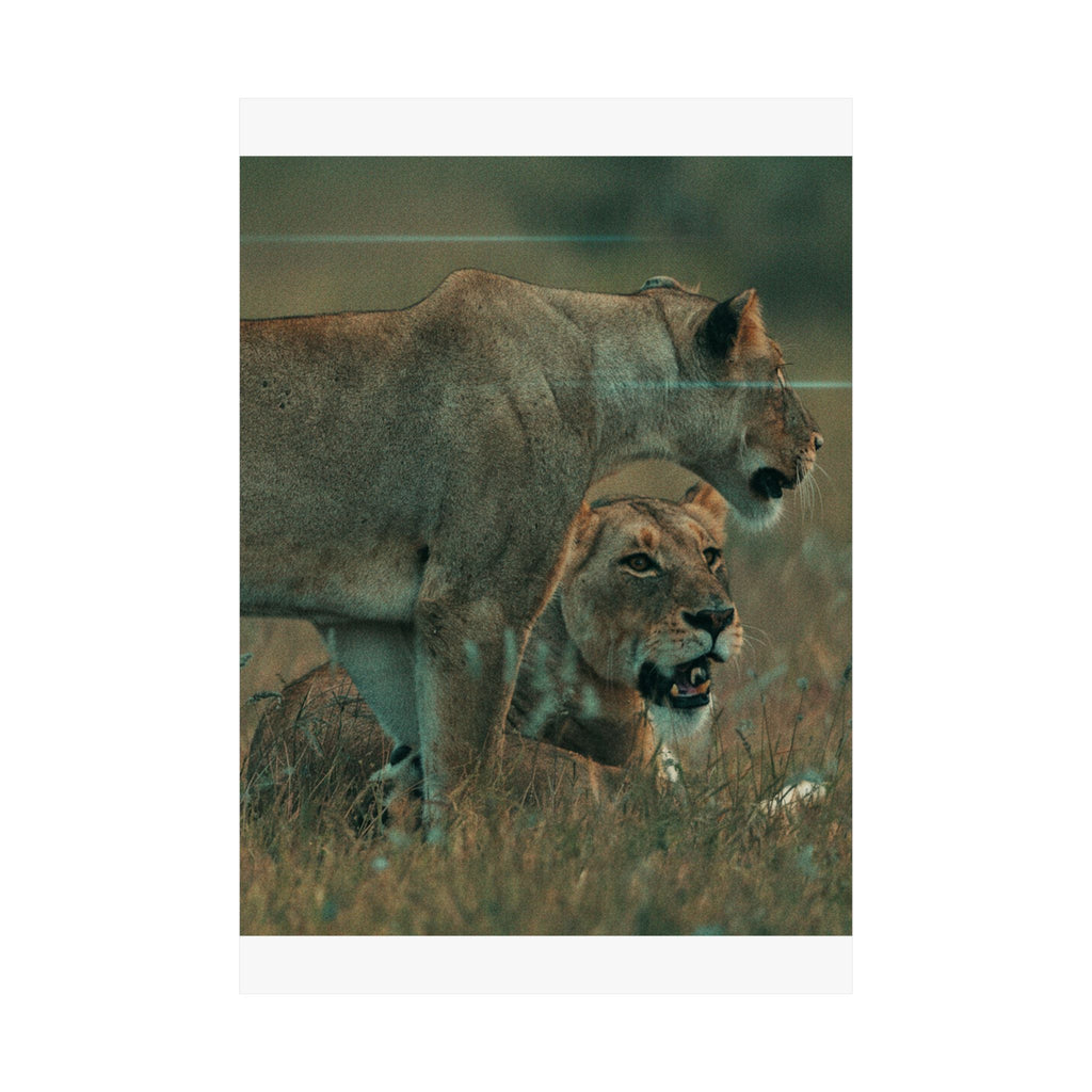 Cinematic — Lions — Matte Poster