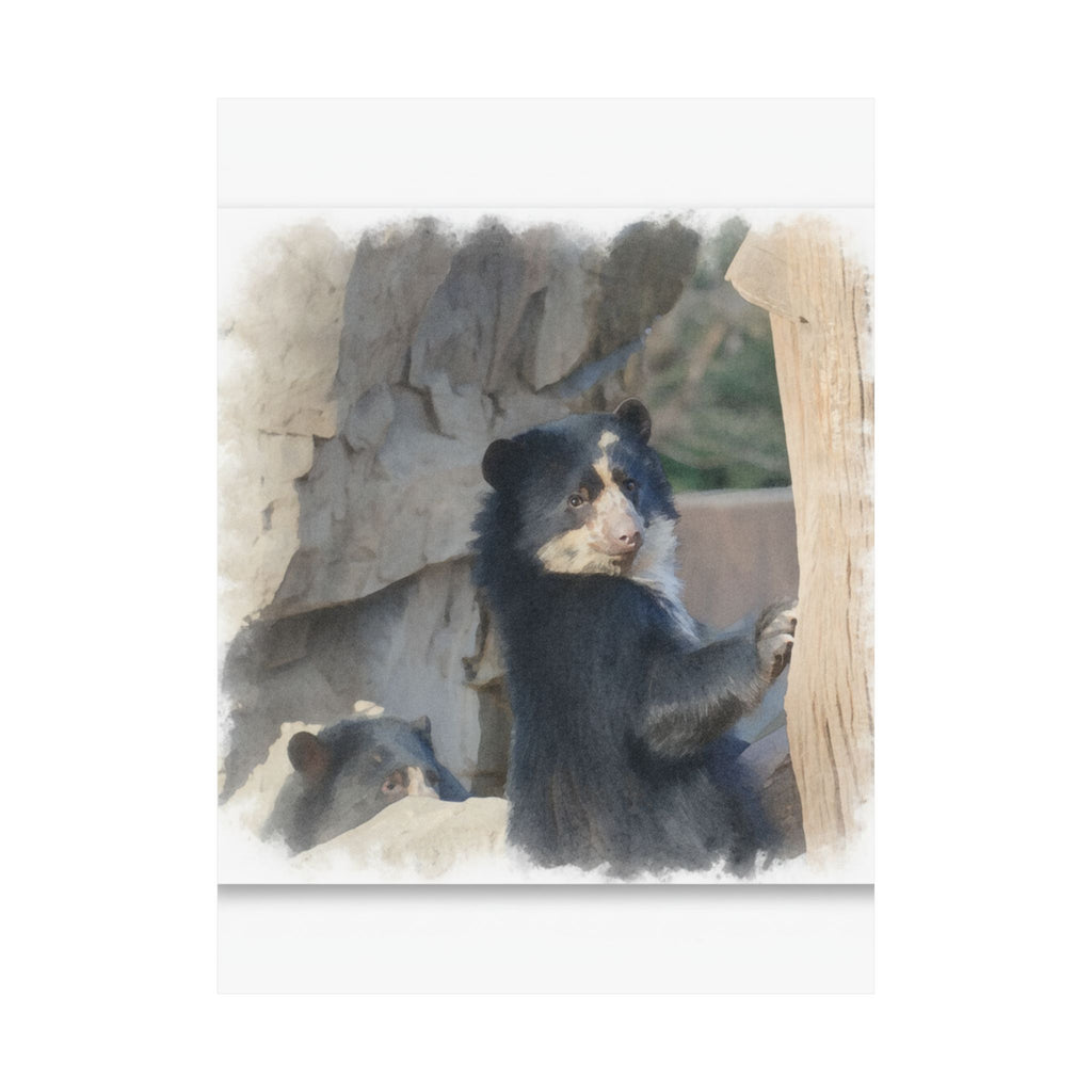 Watercolor — Bear — Matte Poster