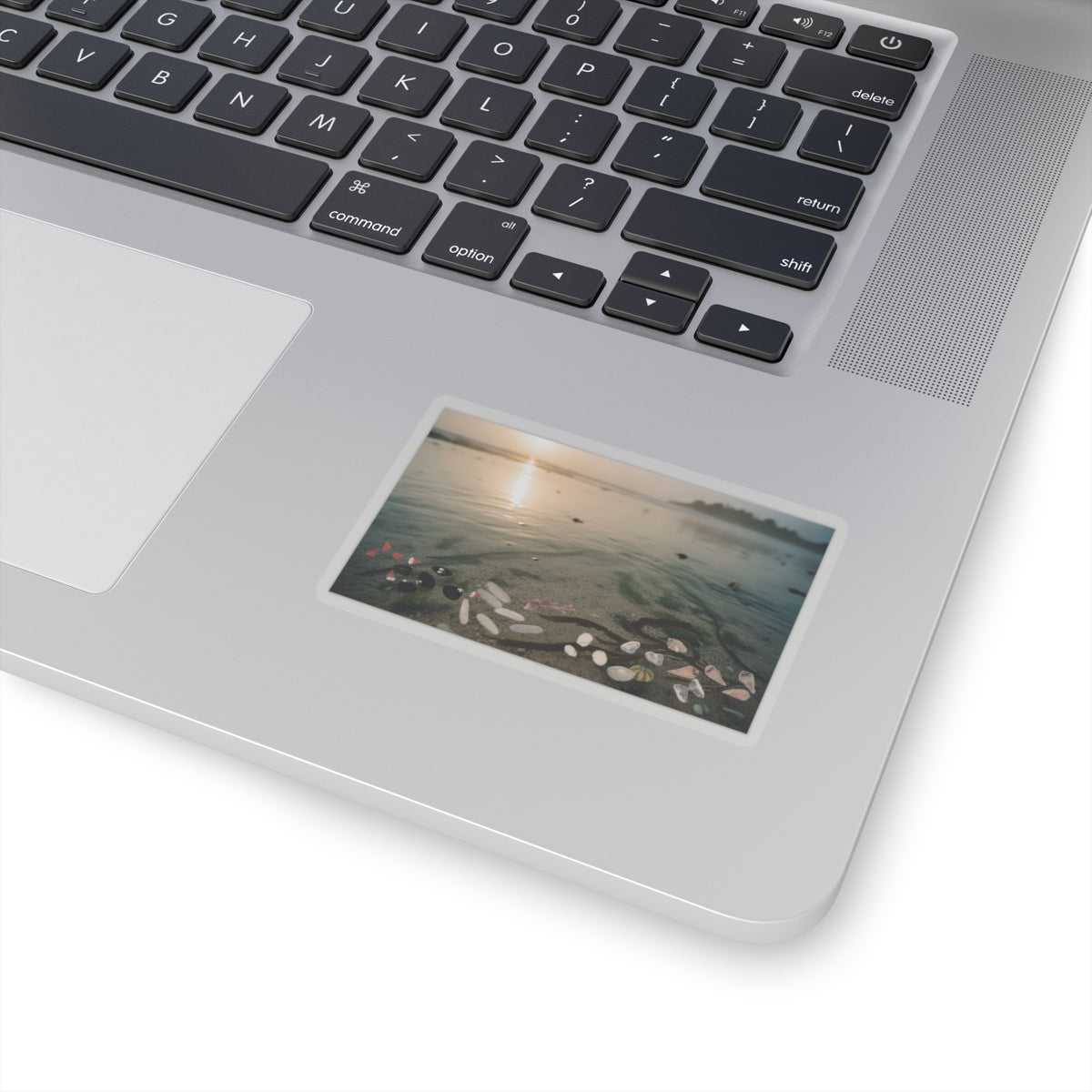 Scenic Nature — Shells Under Water — Kiss-Cut Sticker