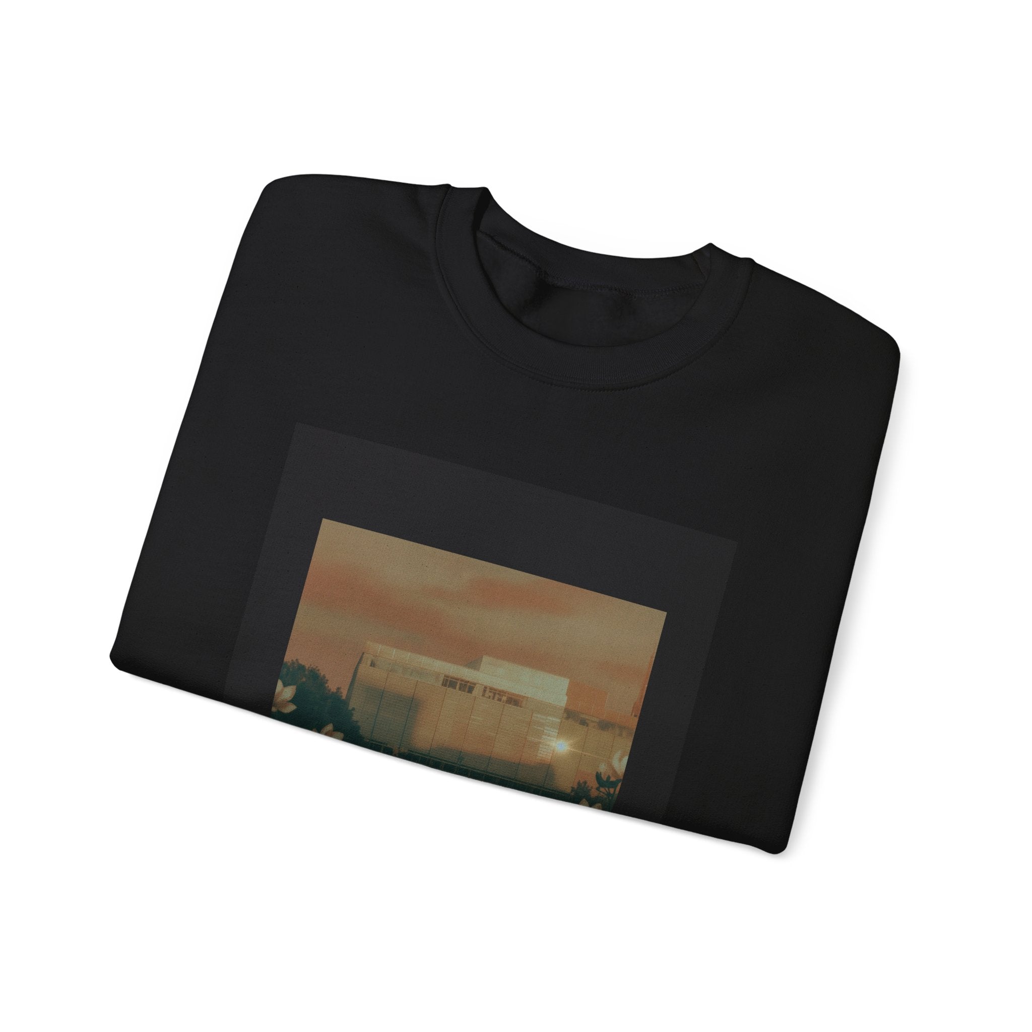 STEEL & SOUL crewneck sweatshirt — product view 11