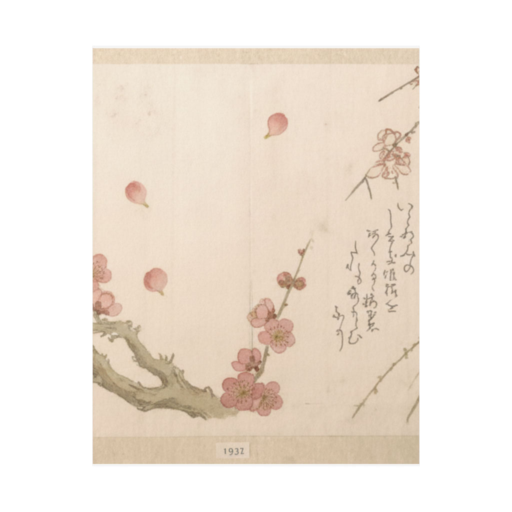 Botanical — Plum Blossom — Matte Poster