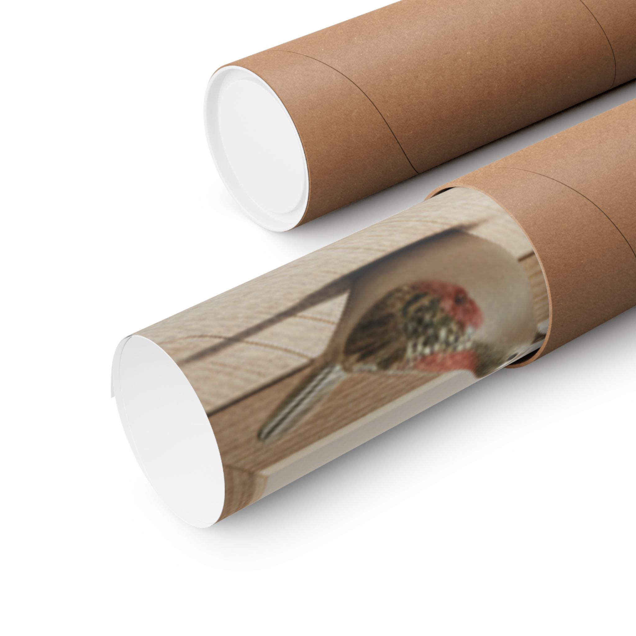 Product Marketing — Boys Playing With A Basin Of Fish And Turtles — Matte Poster