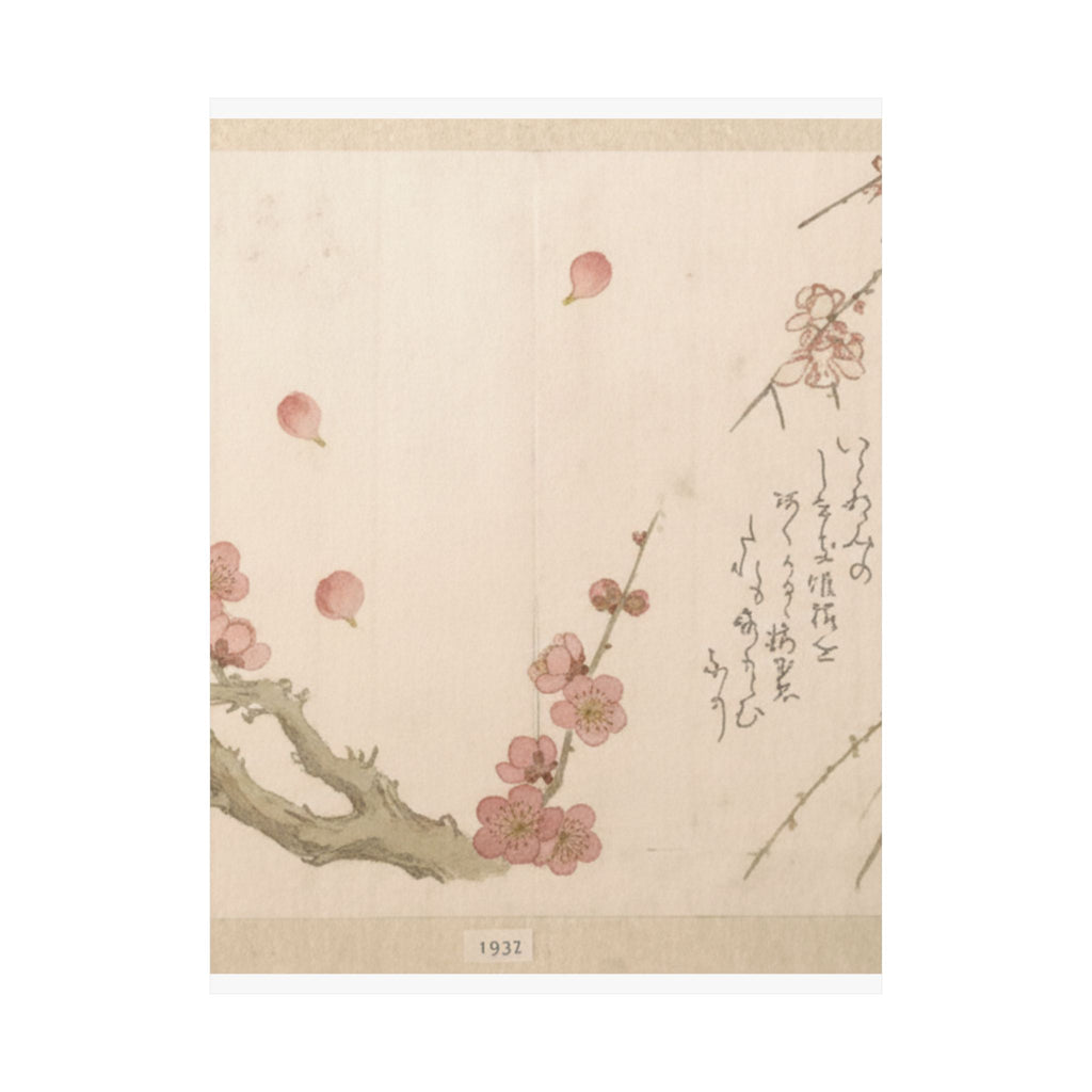 Botanical — Plum Blossom — Matte Poster