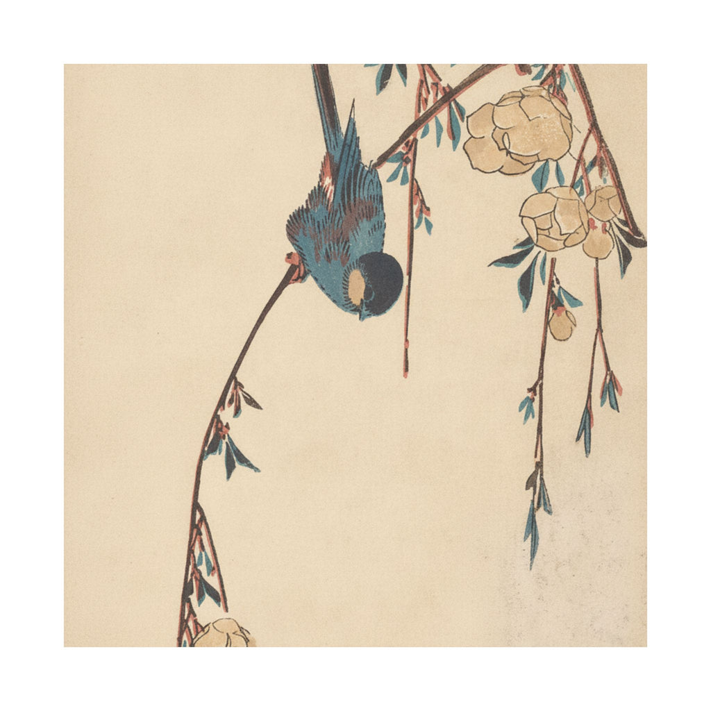 Botanical — Weeping Cherry — Matte Poster