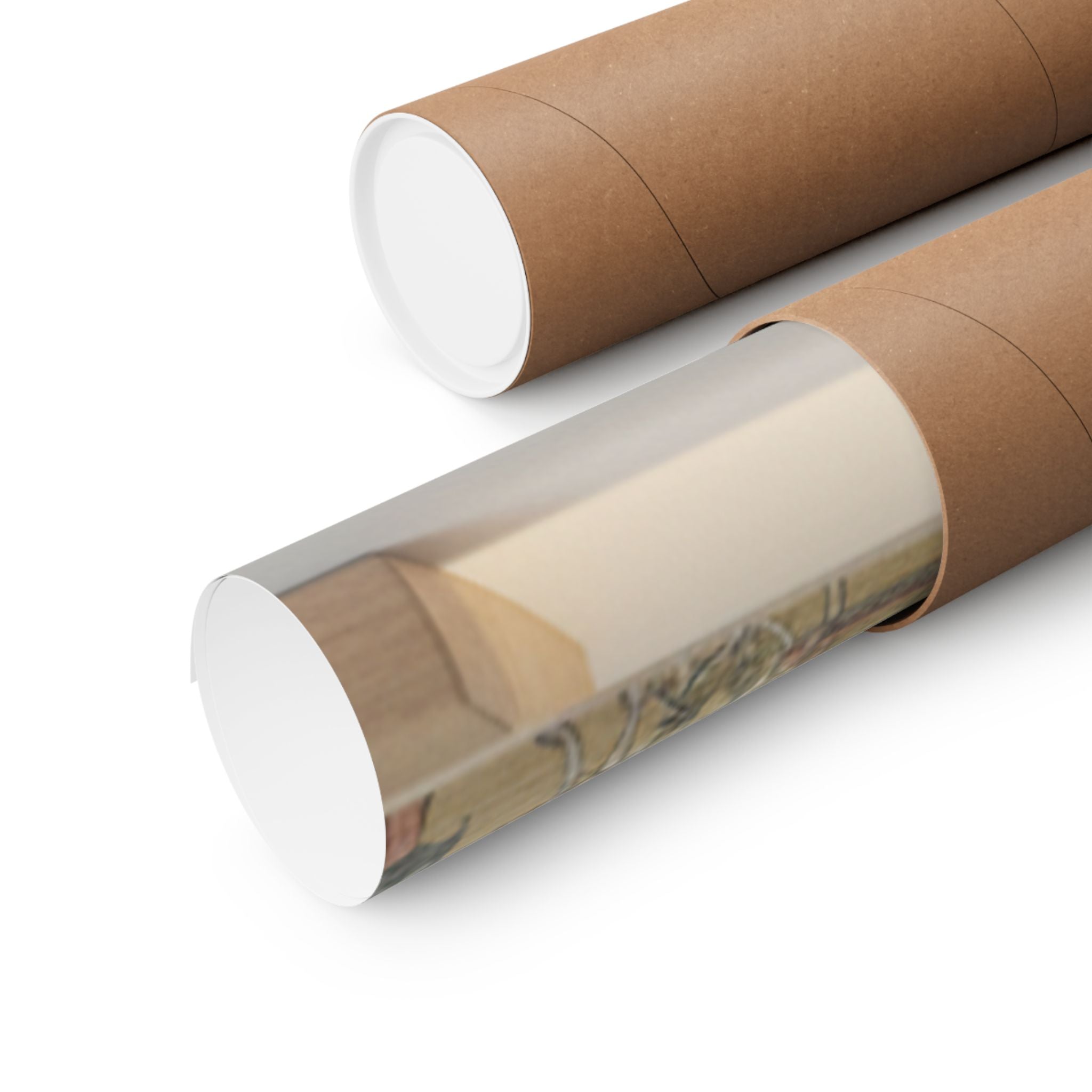 Product Marketing — Perspective Print: Shinobazu Pond — Matte Poster