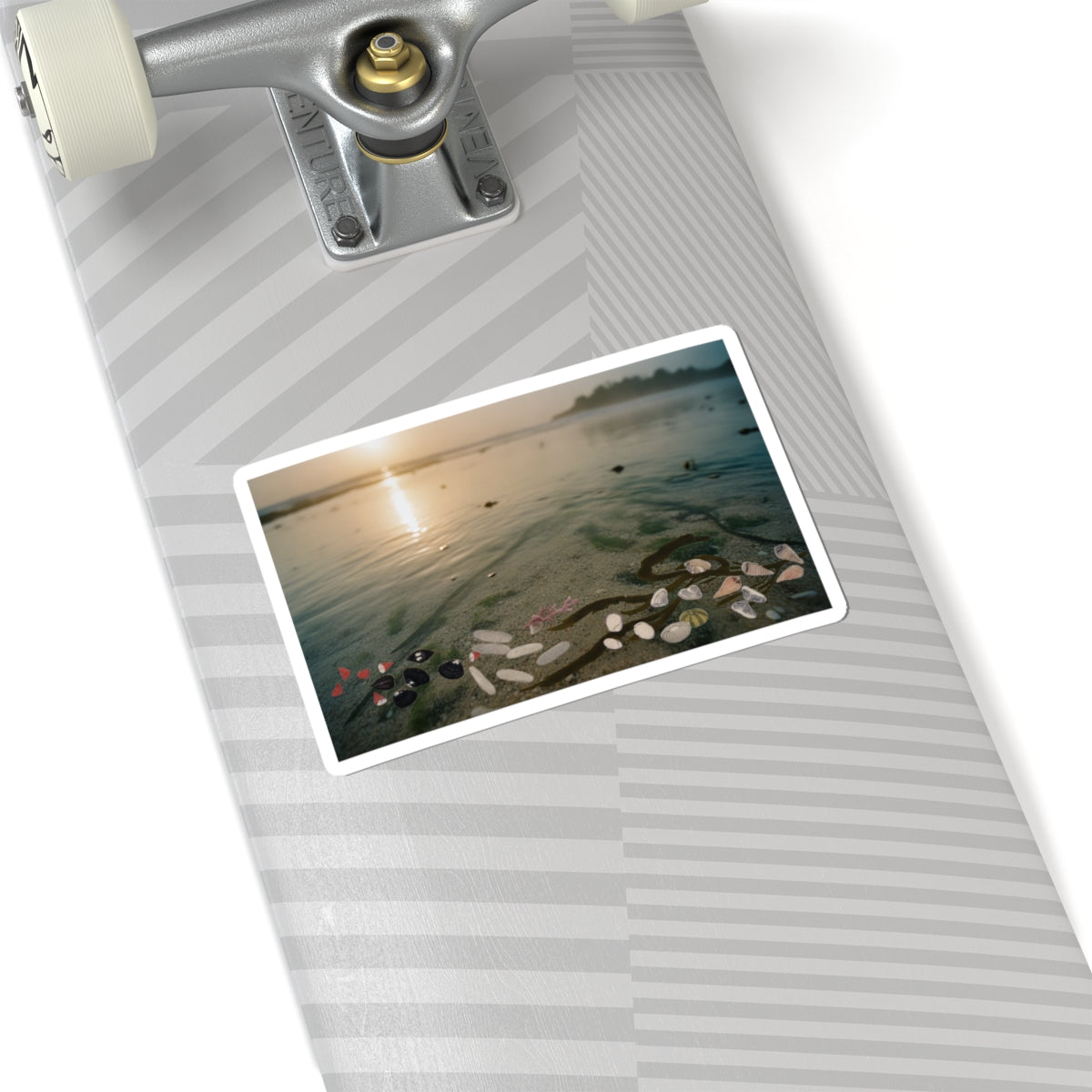 Scenic Nature — Shells Under Water — Kiss-Cut Sticker