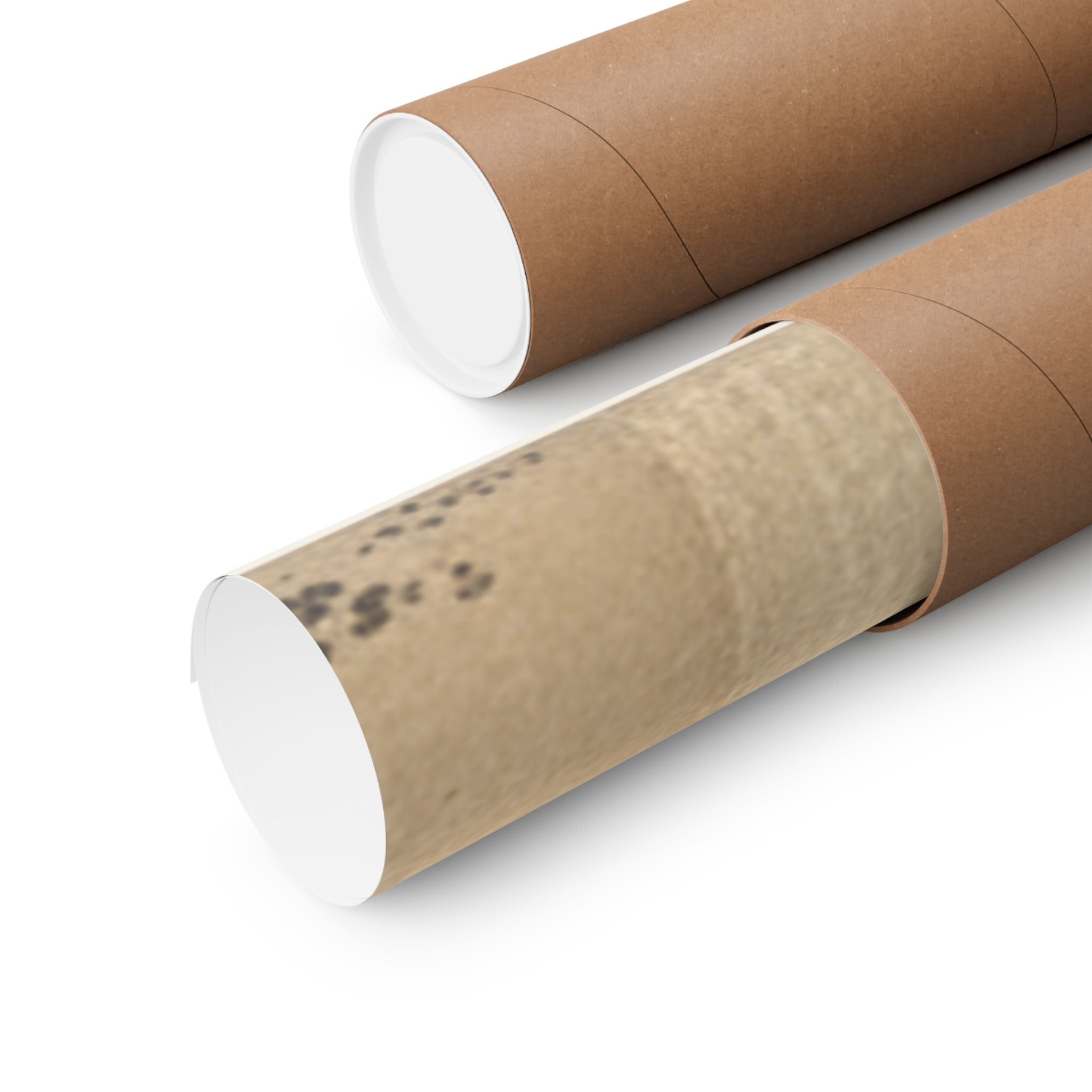 Ecommerce Main — Women Worshipping The Rising Sun Between The Twin Rocks At Ise — Matte Poster