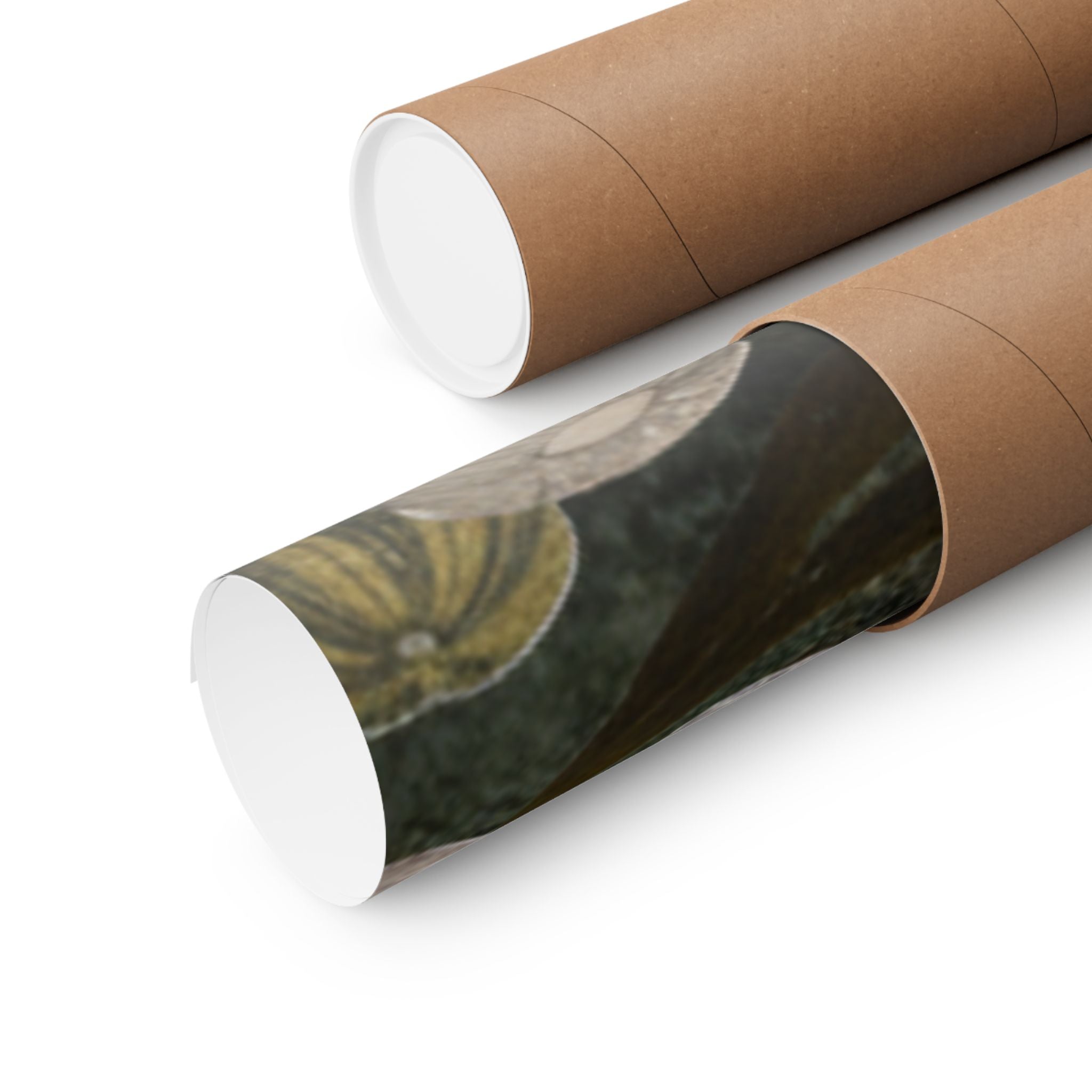 Scenic Nature — Shells Under Water — Matte Poster