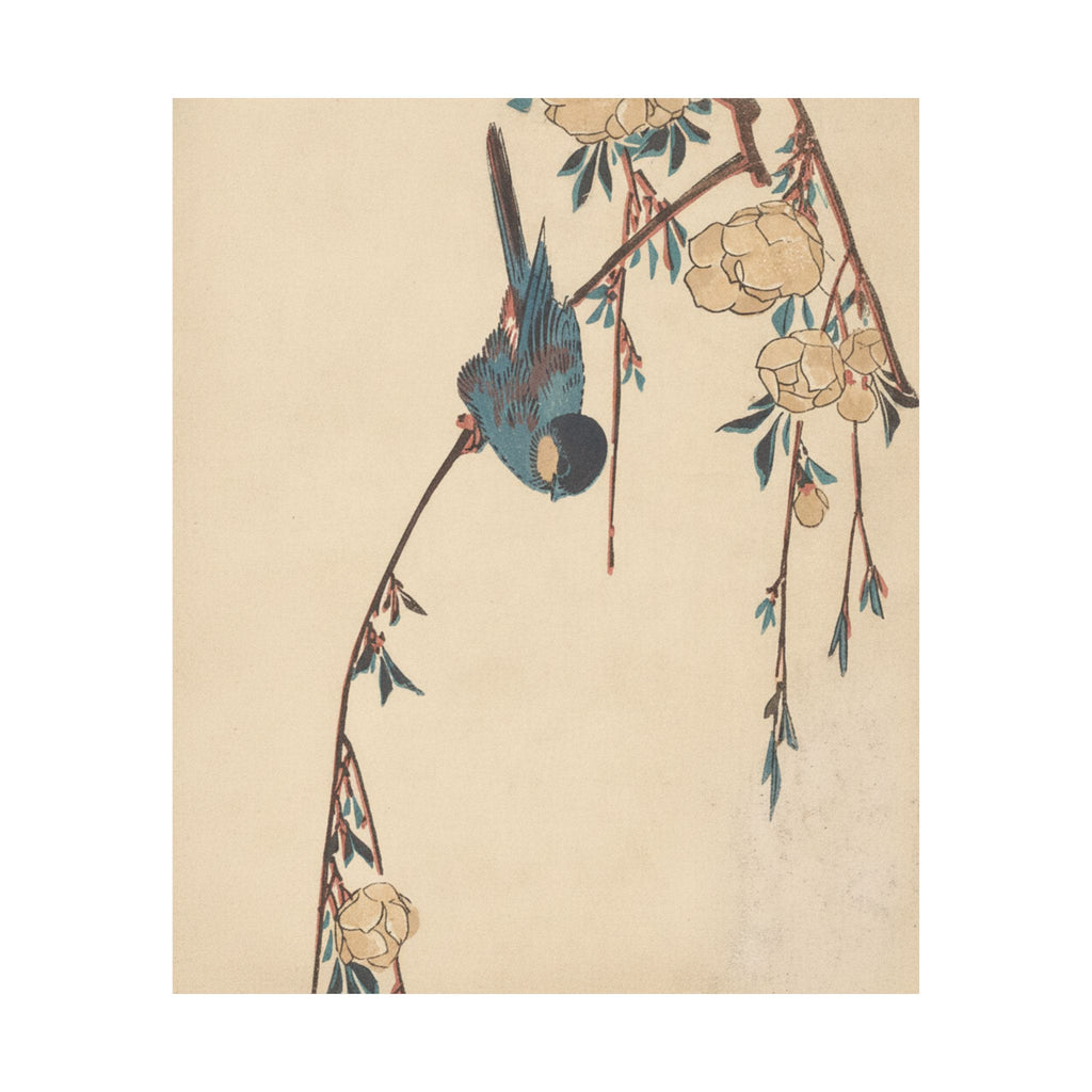 Botanical — Weeping Cherry — Matte Poster
